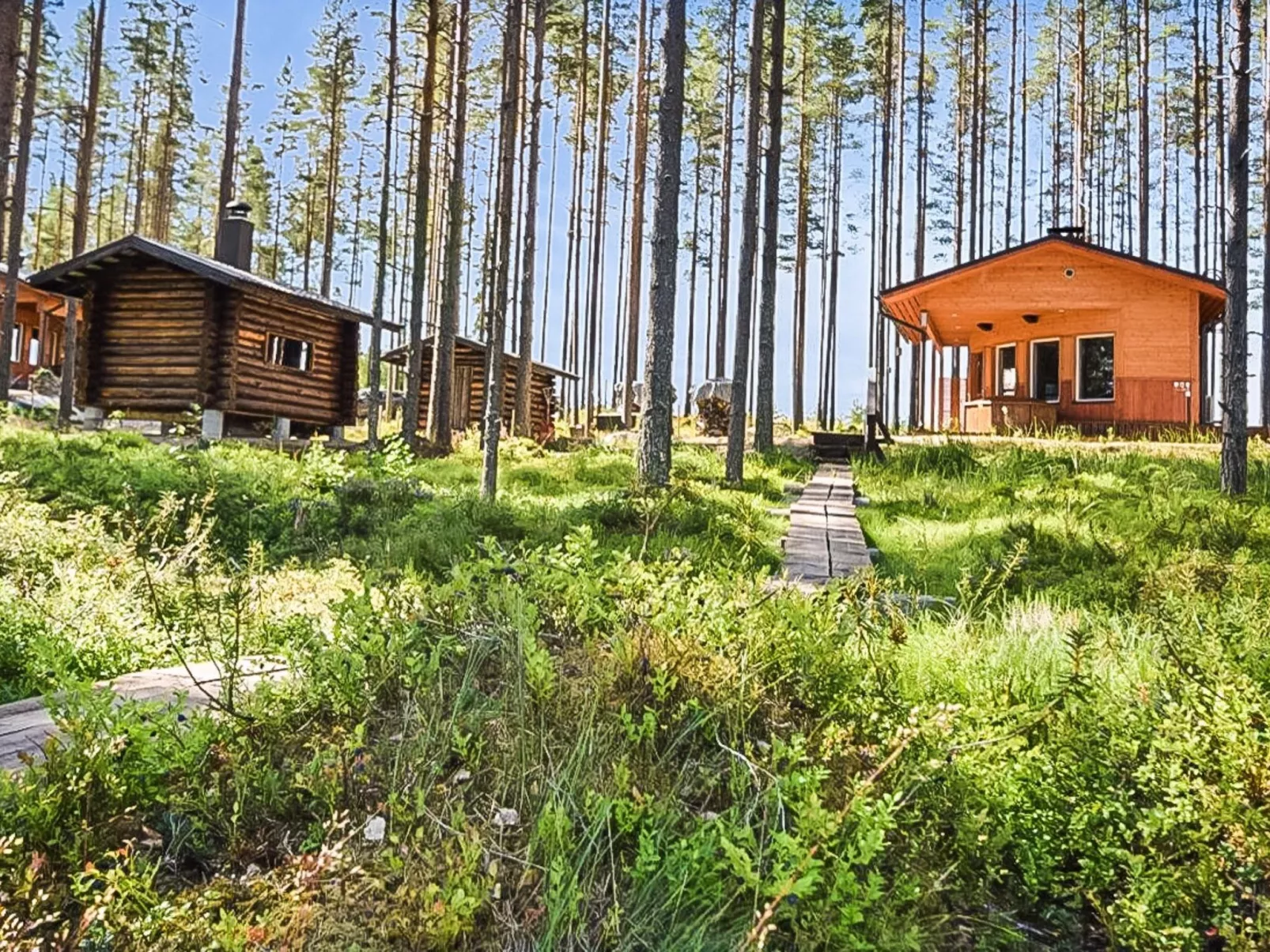 Lepovalkeinen-Outside