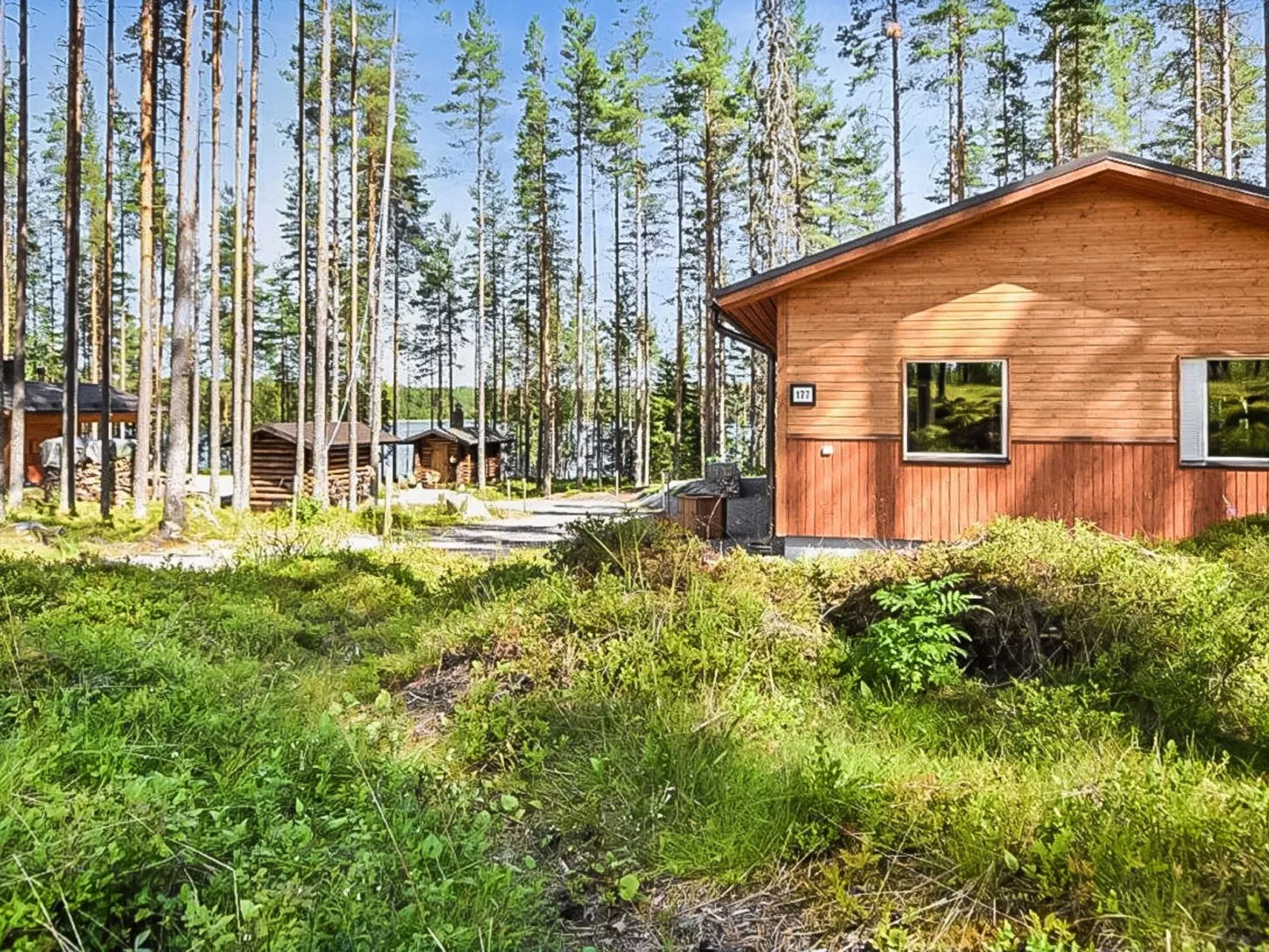 Lepovalkeinen-Outside