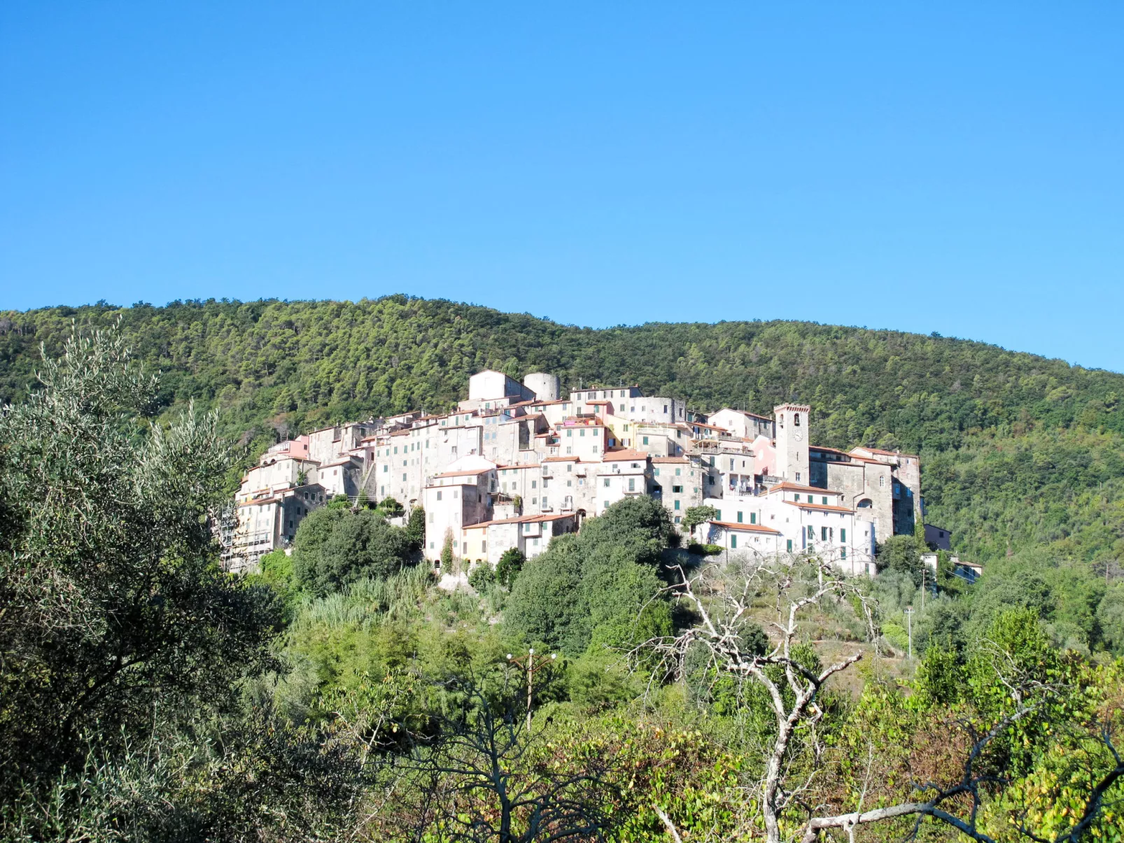 Lucerna Due-Environnement