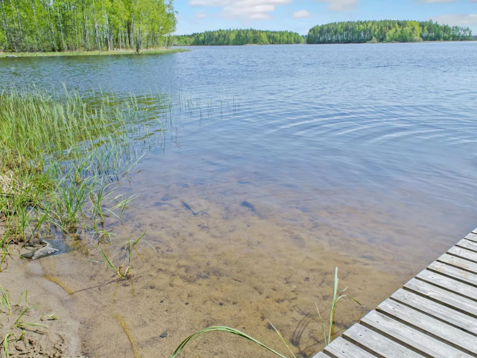 Haapaniemi, cjoe020-Outside