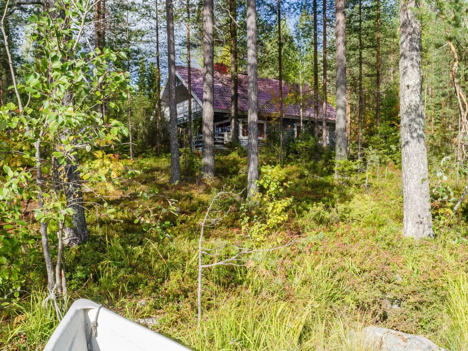 Metsätähti-Outside