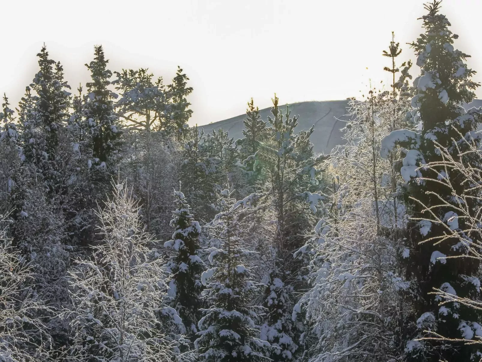 Lapland happiness / skistar 201-Inside