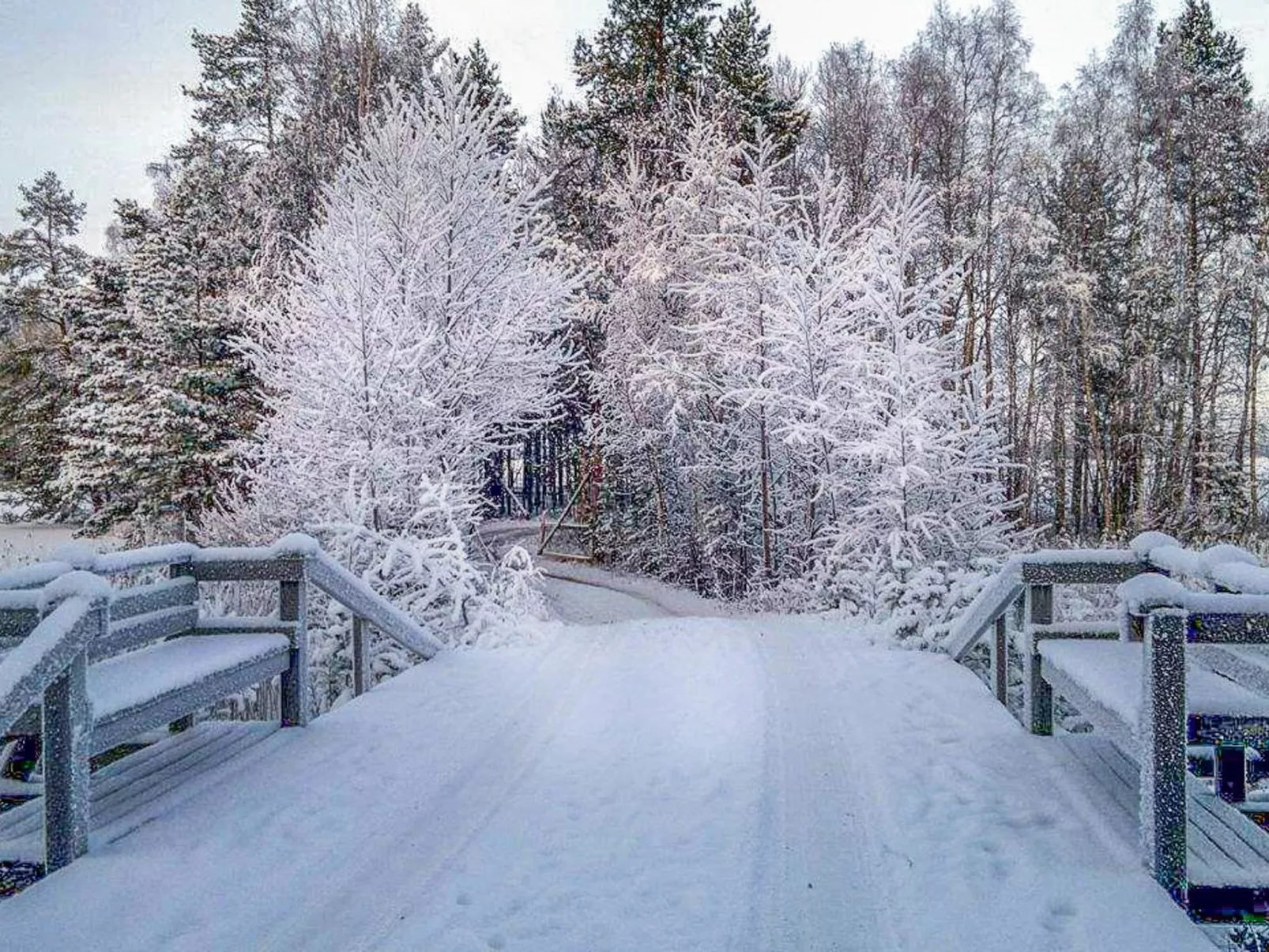 Niinimökki-Outside