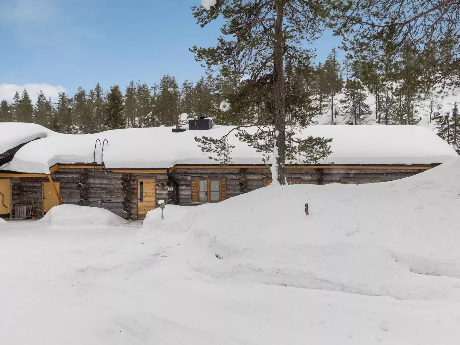 Ruska-ruka 9.1-Outside