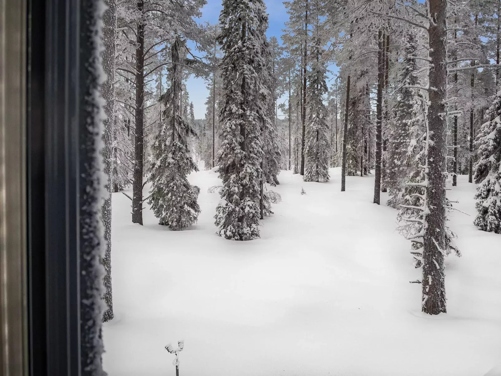 Kesärinne14-Outside