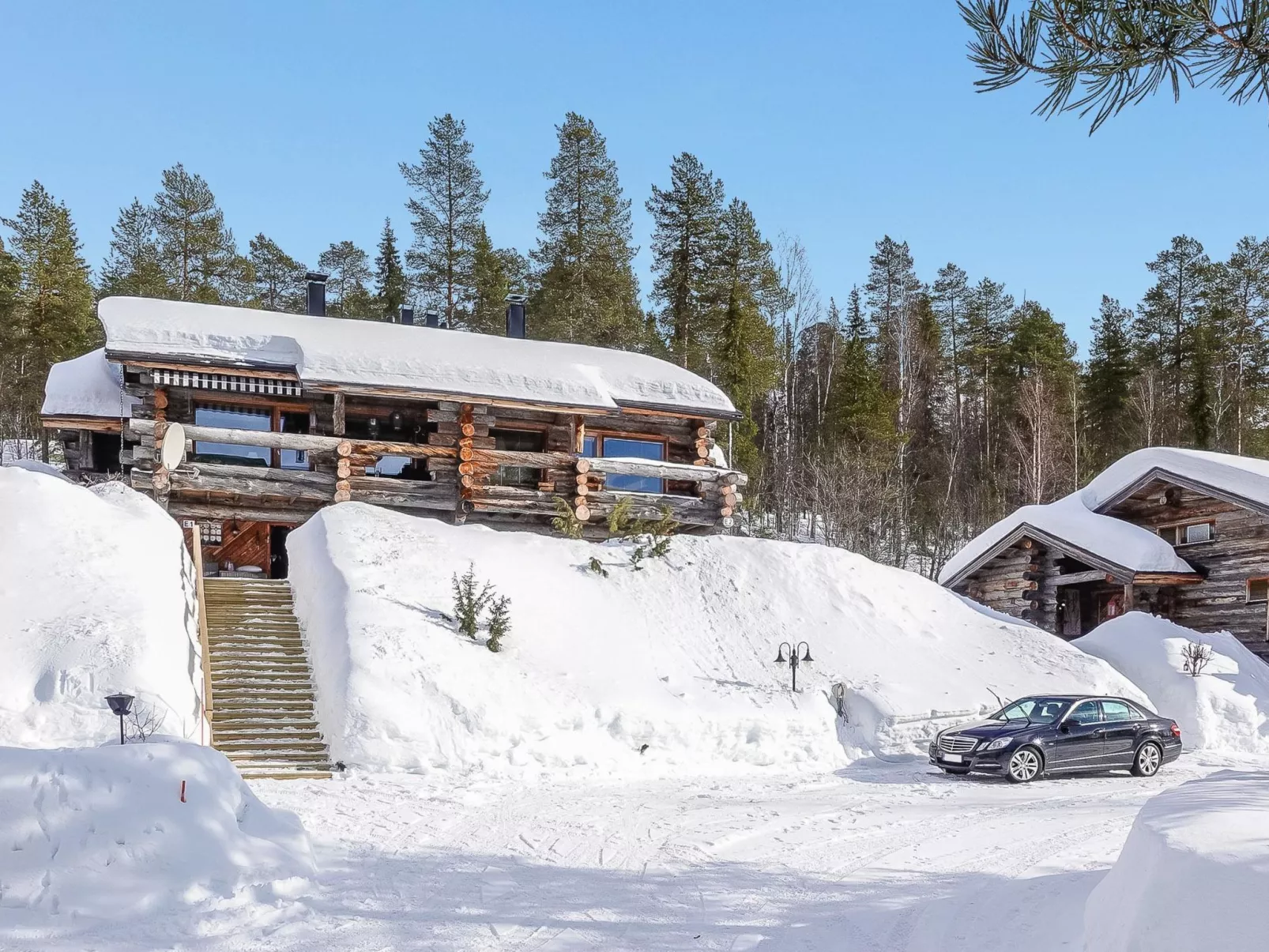 Sallanhelmi e2