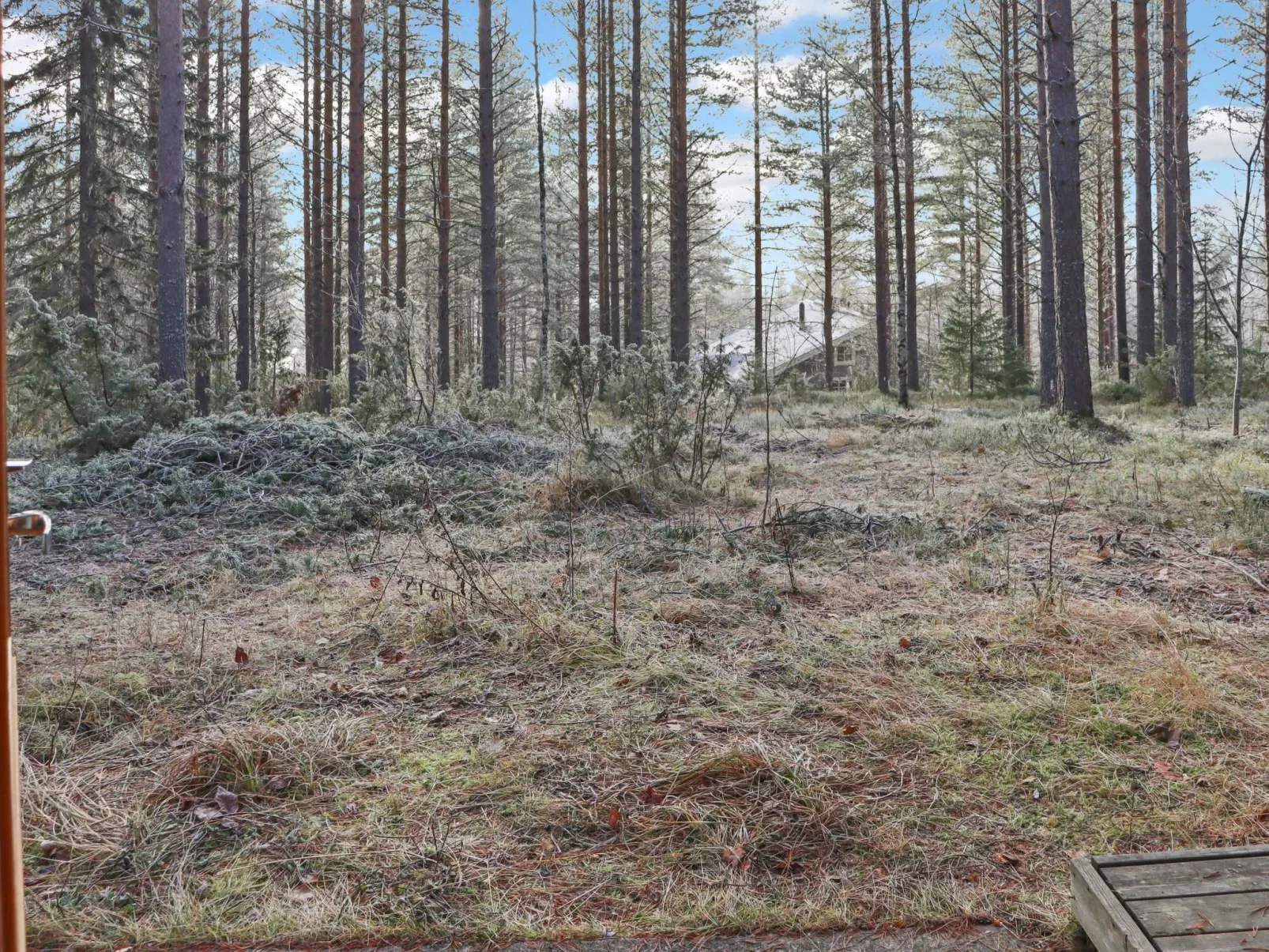Alppitalo mökki-Outside