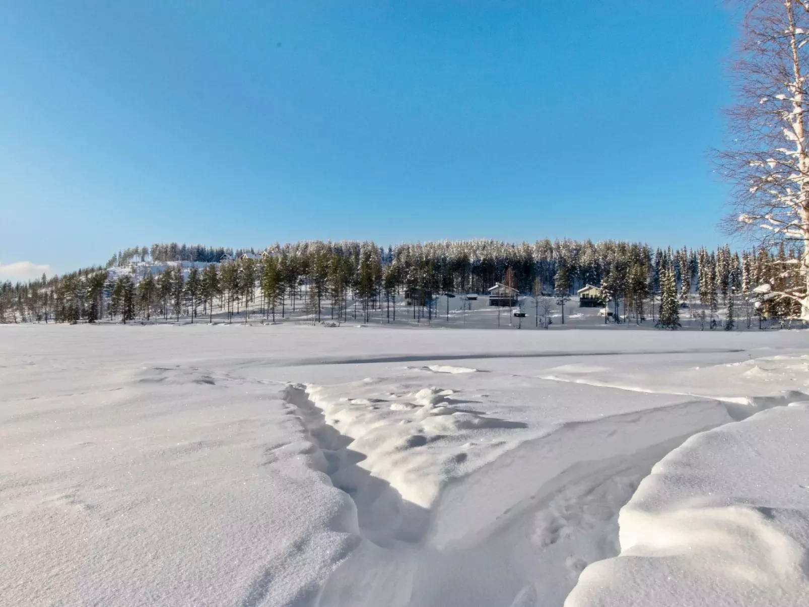 Hallantytär b3 paritalo-Draußen