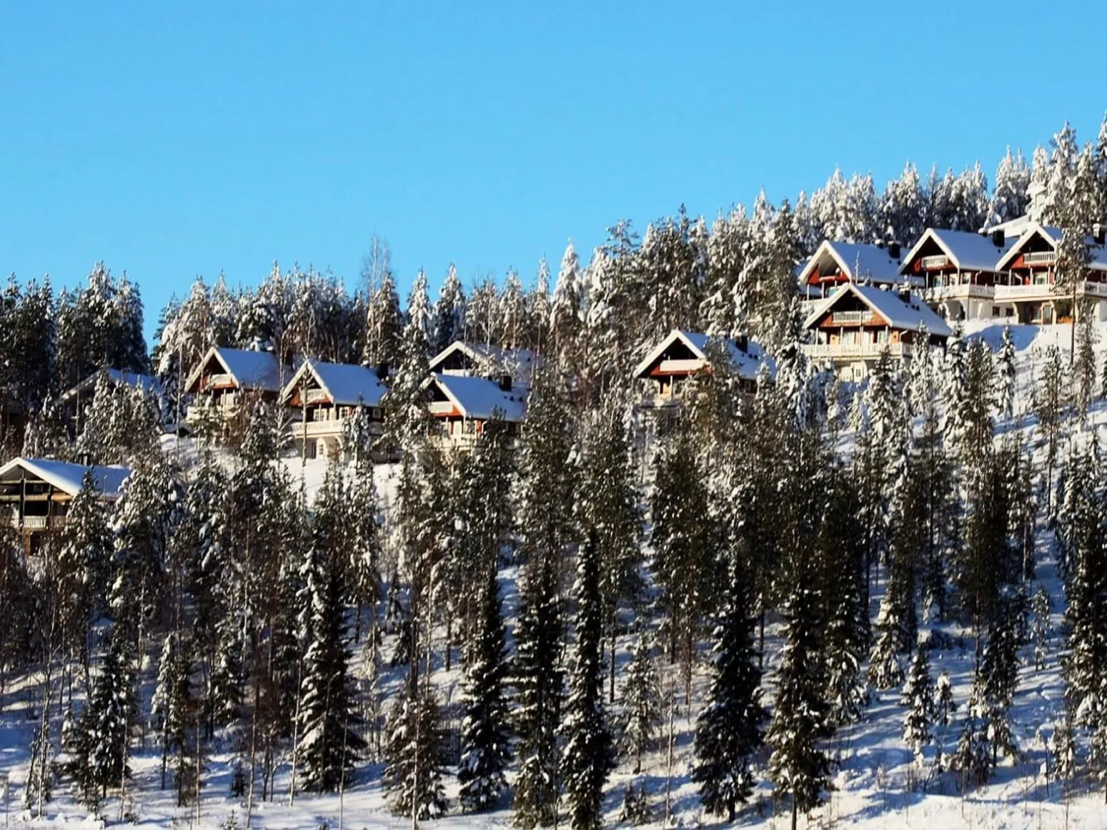 Hyrynpirtti mökki-Outside