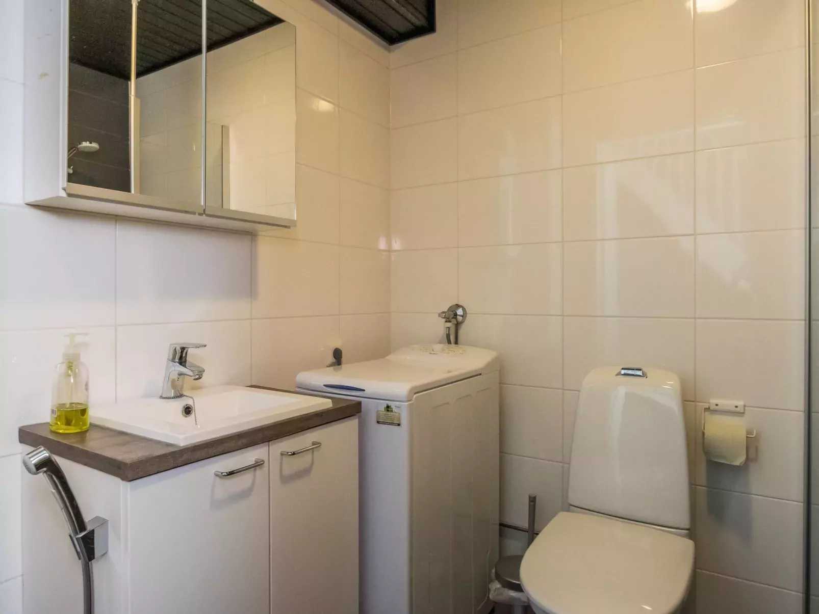 Skivillas 61 ukkohalla (b1)-Dedans