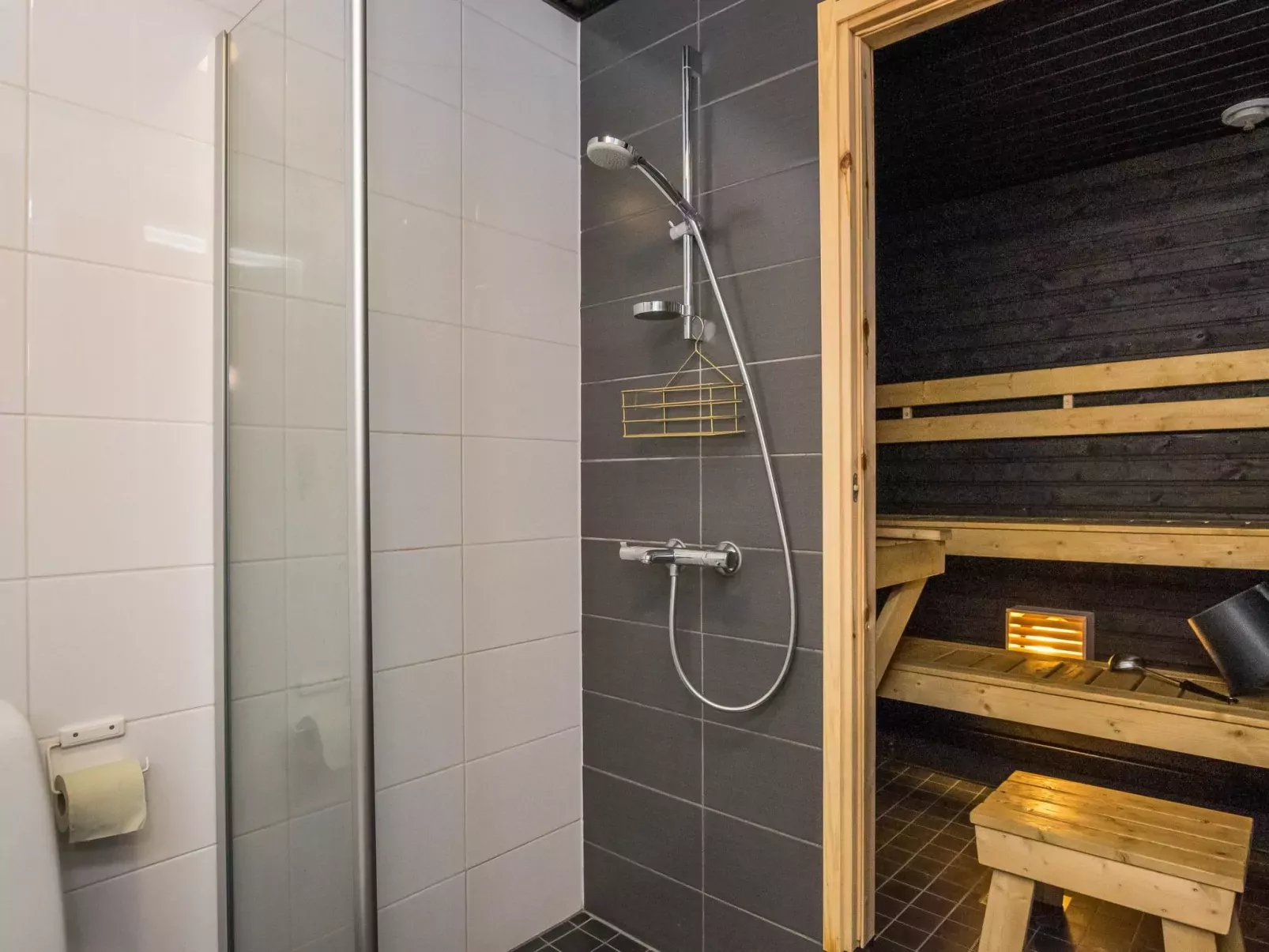 Skivillas 61 ukkohalla (b1)-Dedans