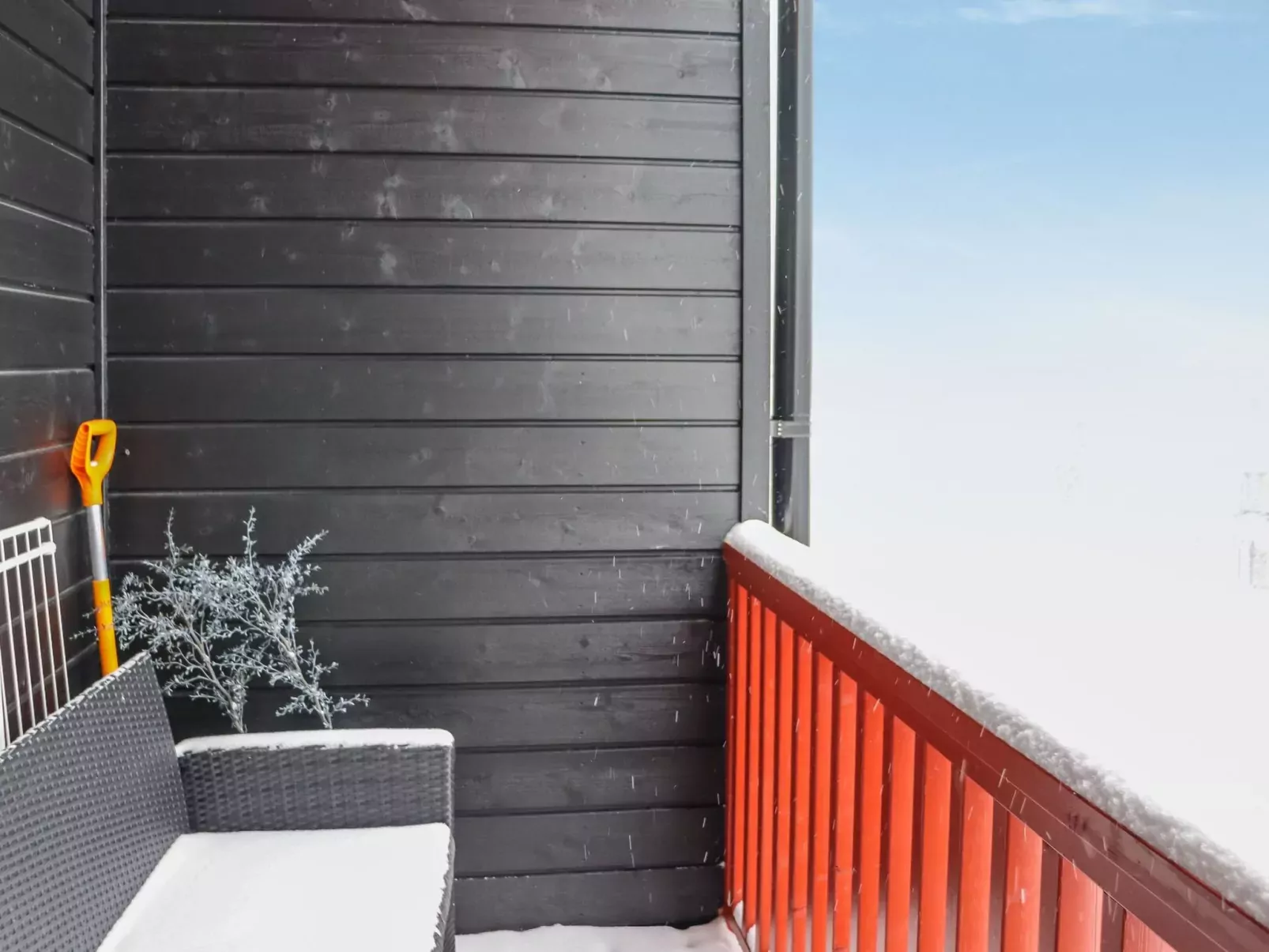 Skivillas 61 ukkohalla (b1)-Dedans