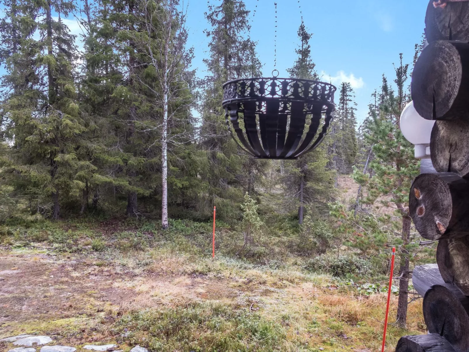 Vuosselin kuukkeli-Outside