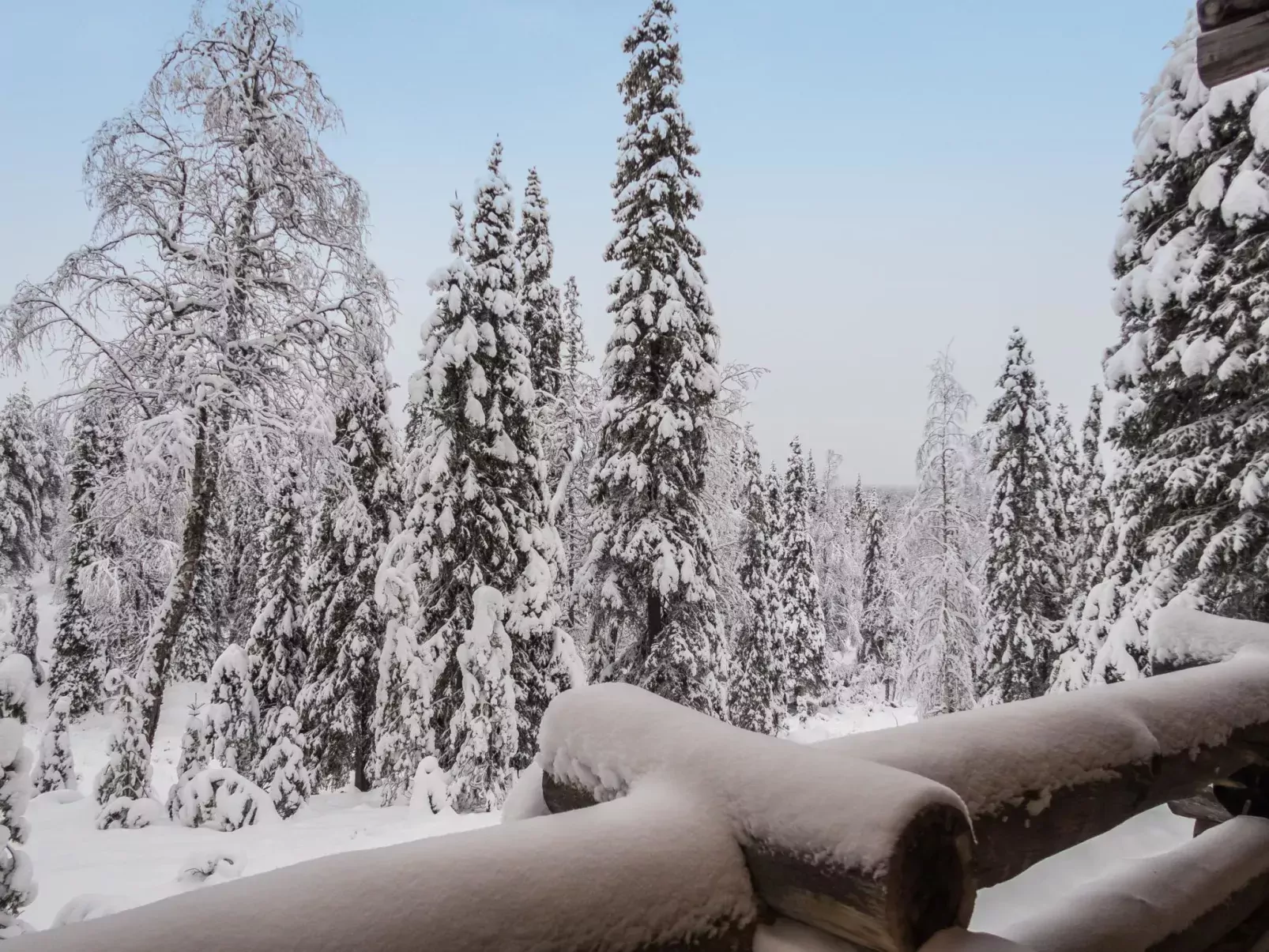 Ruka-rokova 2-Outside