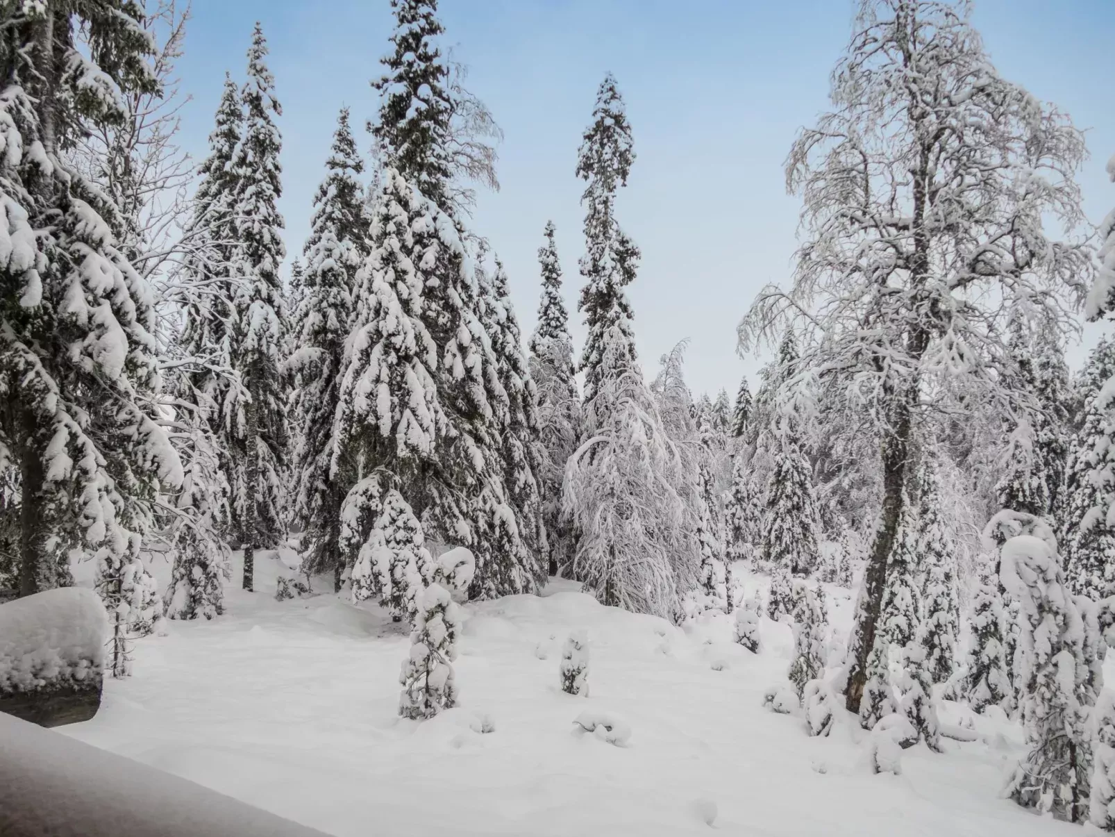 Ruka-rokova 2-Outside