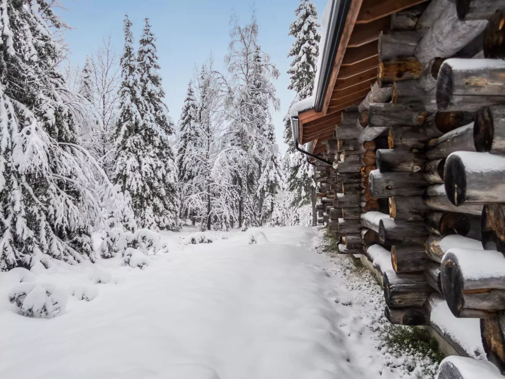 Ruka-rokova 2-Outside