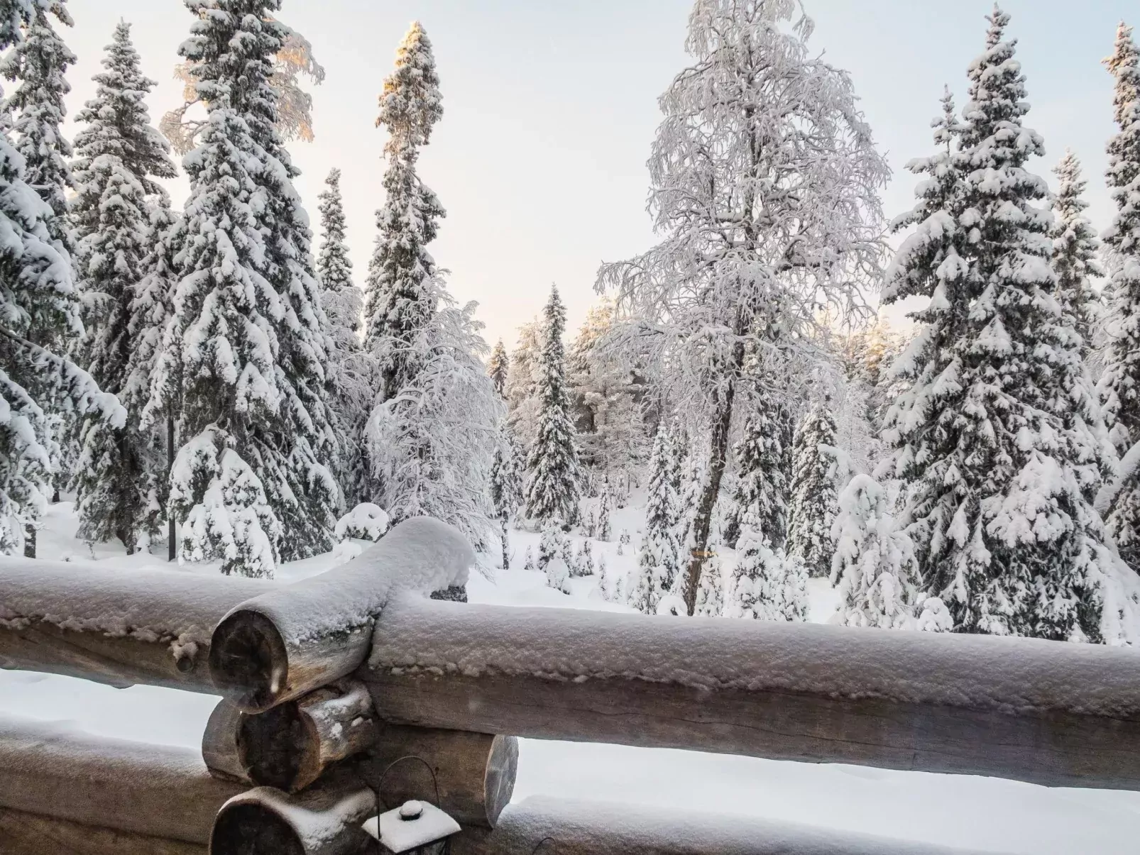Ruka-rokova 2-Outside