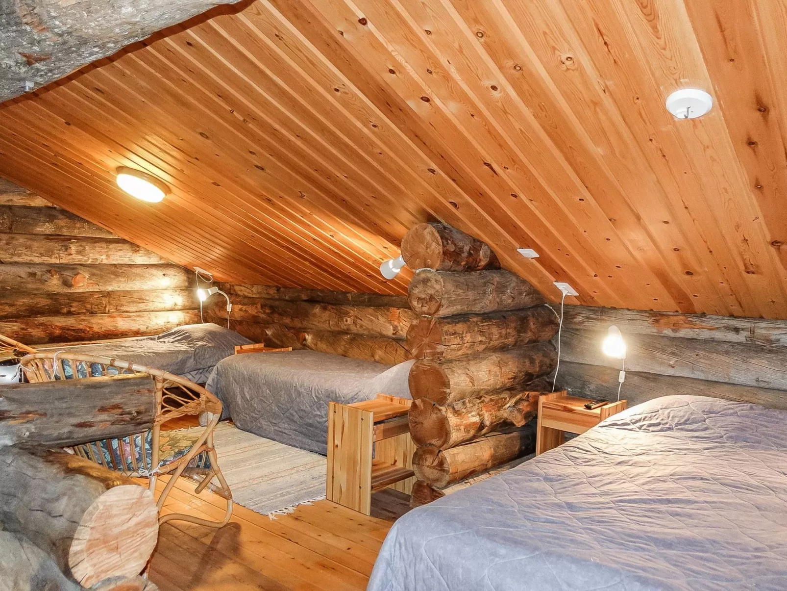 Sallanhelmi c1-Dedans