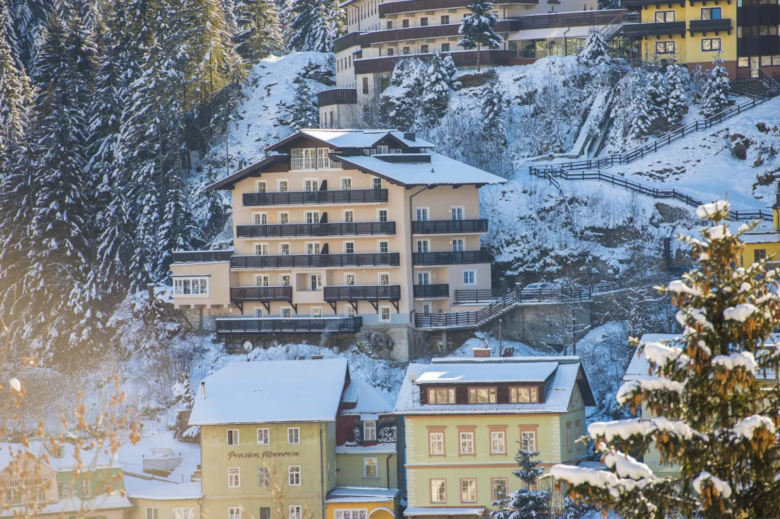 A2S Alpenhof 01-Exterior winter