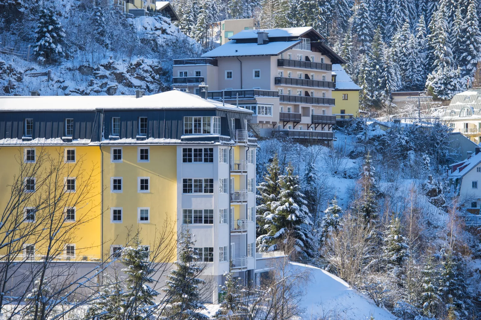 A2S Alpenhof 01-Exterior winter