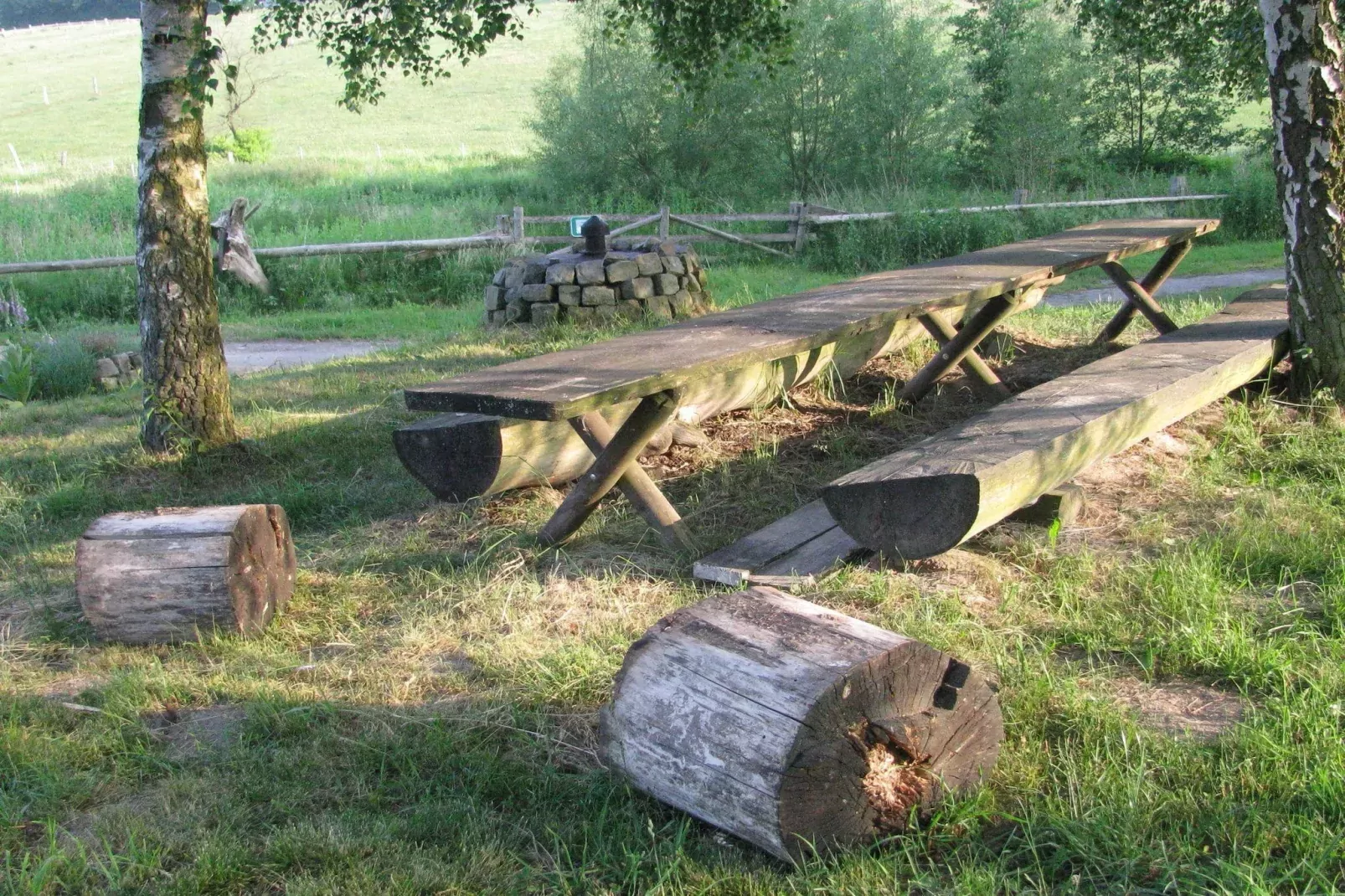 Im Teutoburger Wald-Gebiete Sommer 1 km