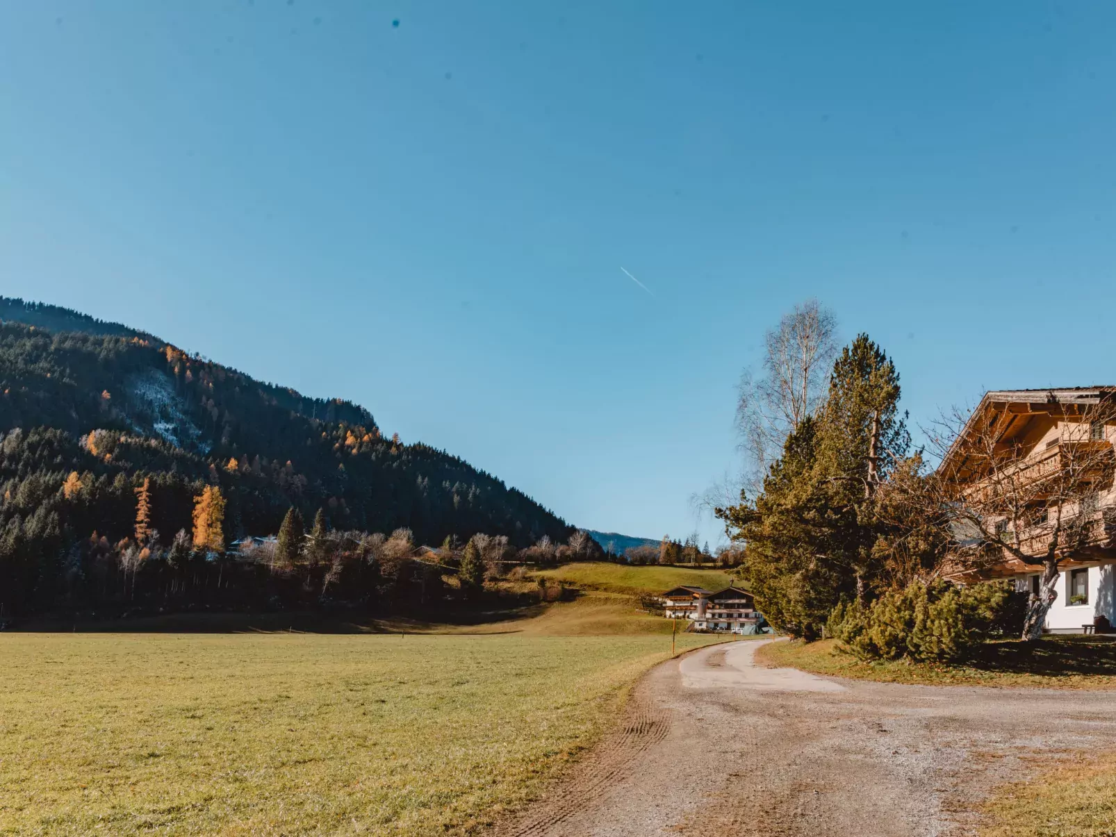 Mitterkopf-Dehors