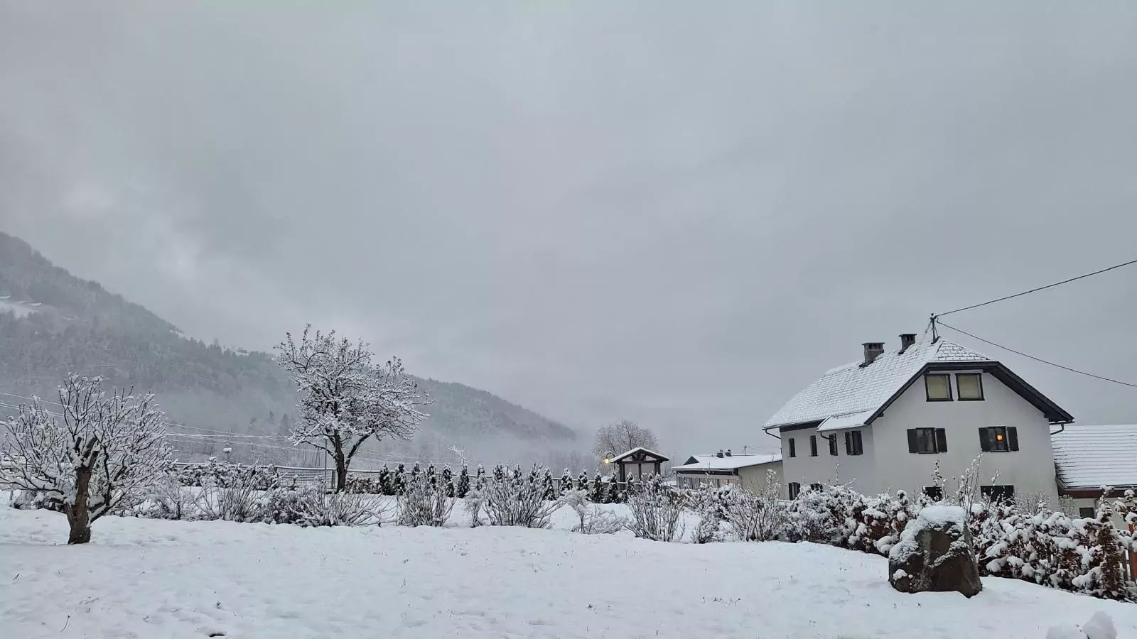Jukbichl 1-Garden winter