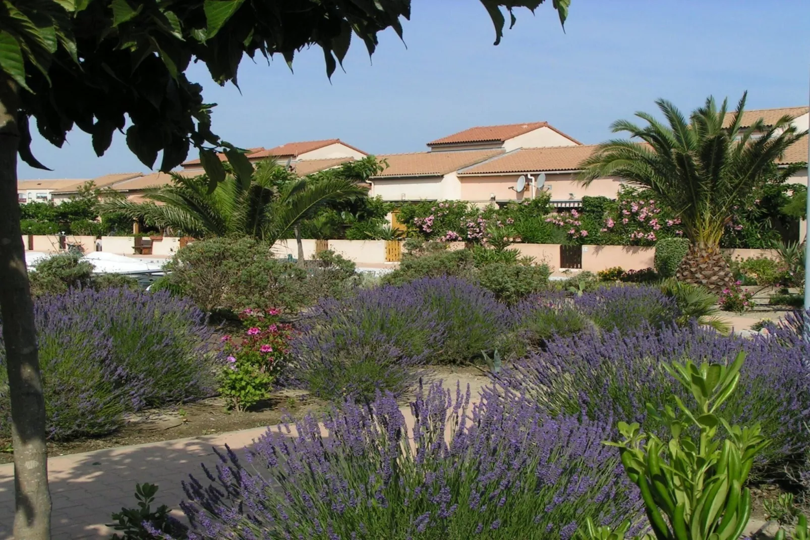 Residence Le Lotus Blanc 2-Areas summer 20km