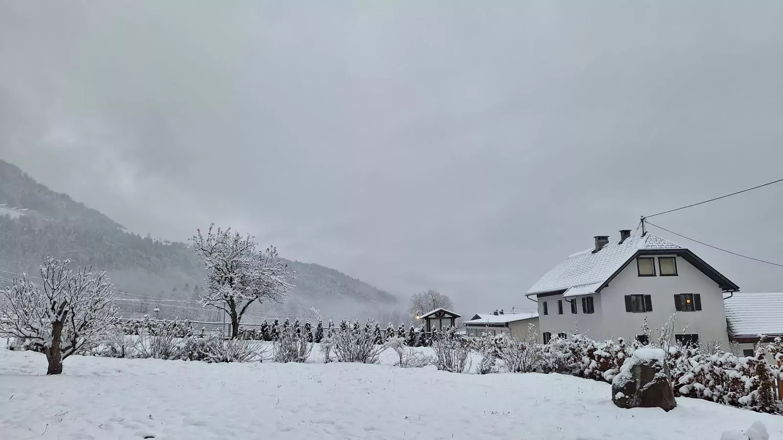 Jukbichl-Garden winter