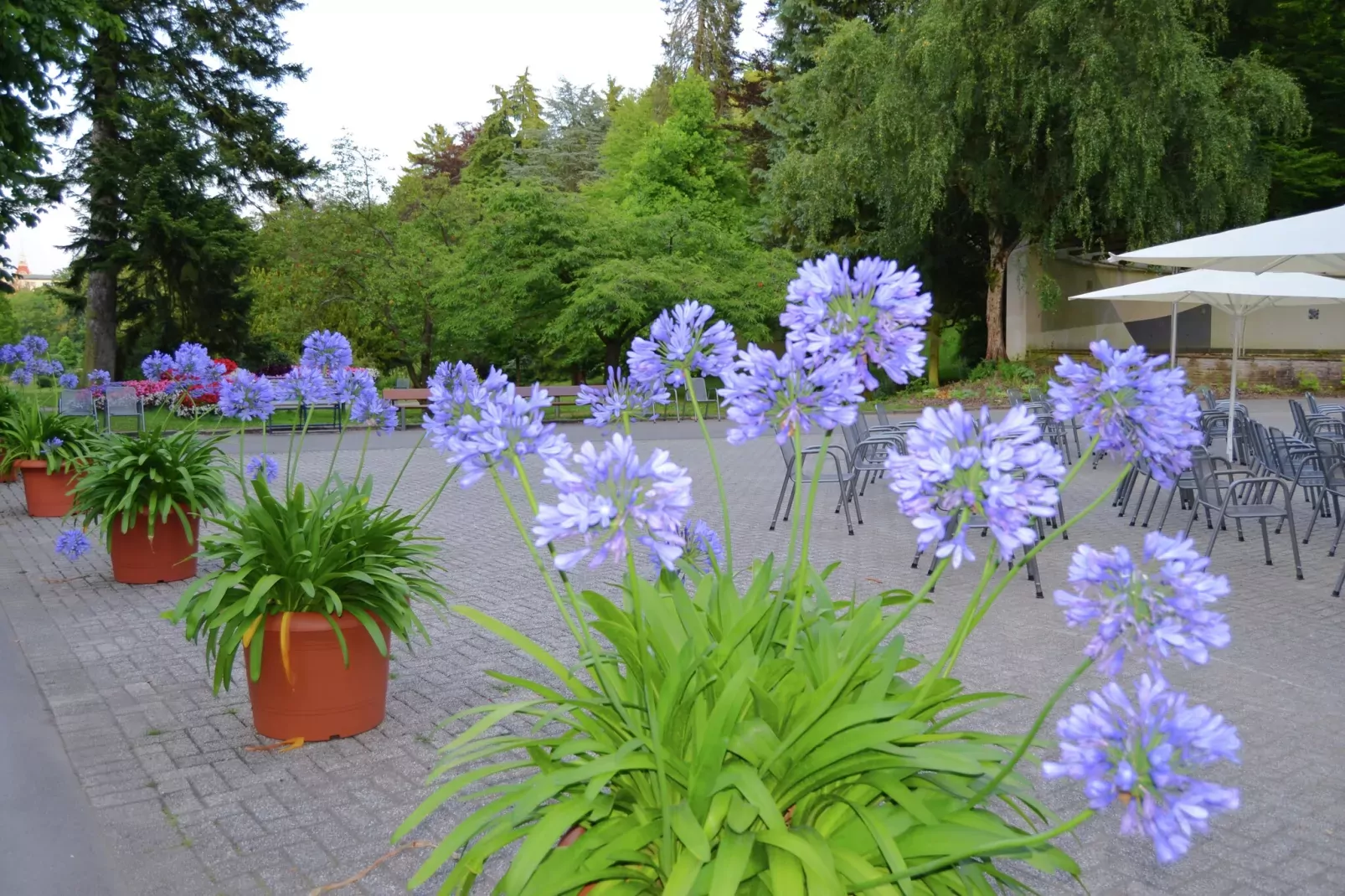 Am Ferienbauernhof - FW 5-Areas summer 20km