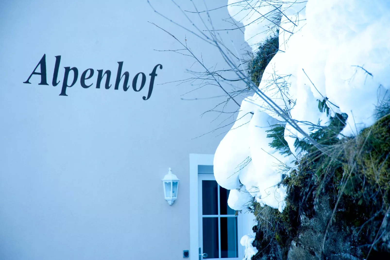 A2S Alpenhof 02-Reception hall