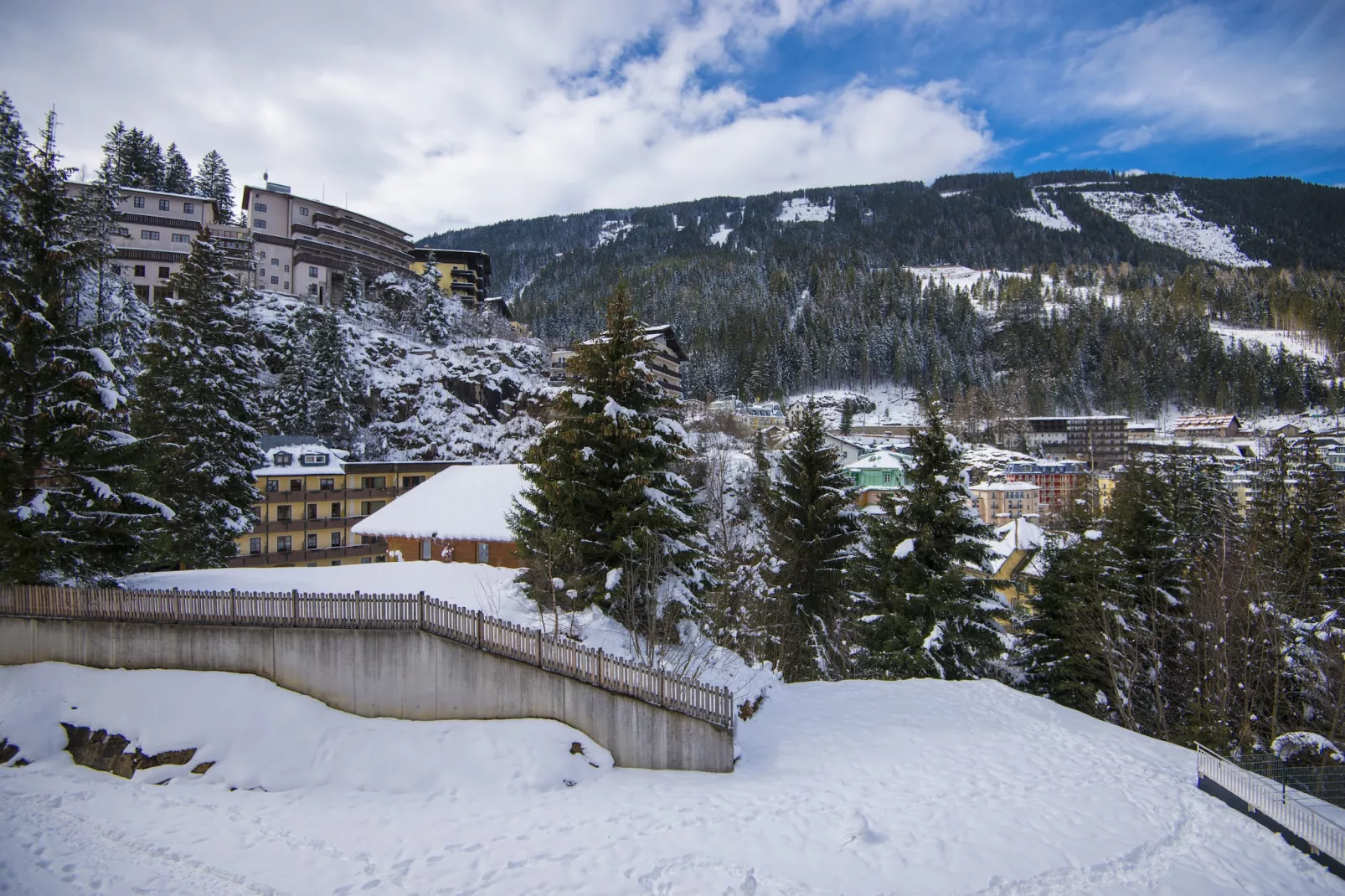 SW2S Sonnenwende-Garden winter