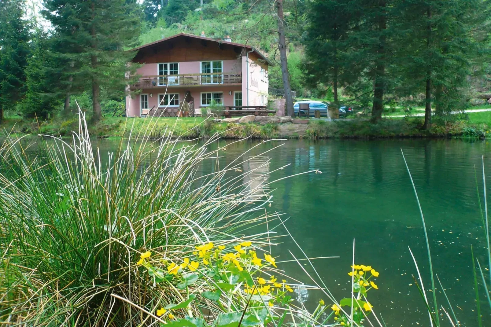 Holiday flats Forellenhof Dabo // Typ B 4 Erw  55 qm-Areas summer 1km