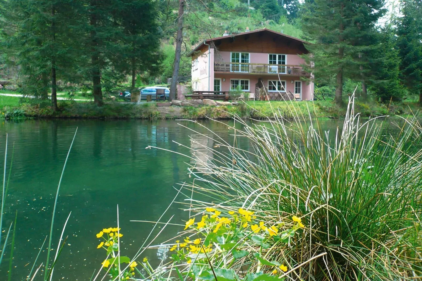 Holiday flats Forellenhof Dabo // Typ B 4 Erw  55 qm-Areas summer 1km