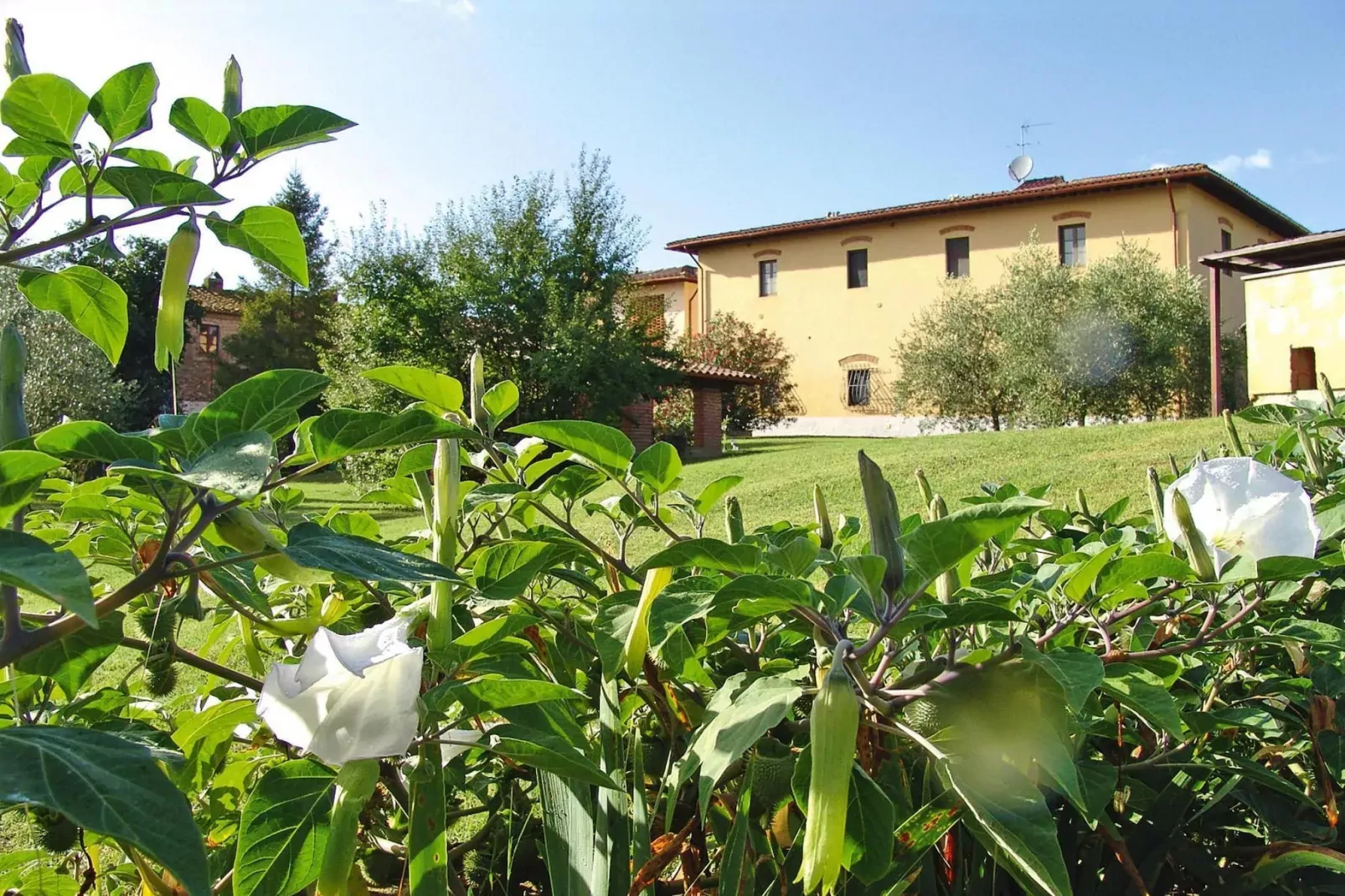 Agri-tourism Poggio al Sole Vinci Type Rosa di Bosco-Rosa di Bosco-Extérieur été