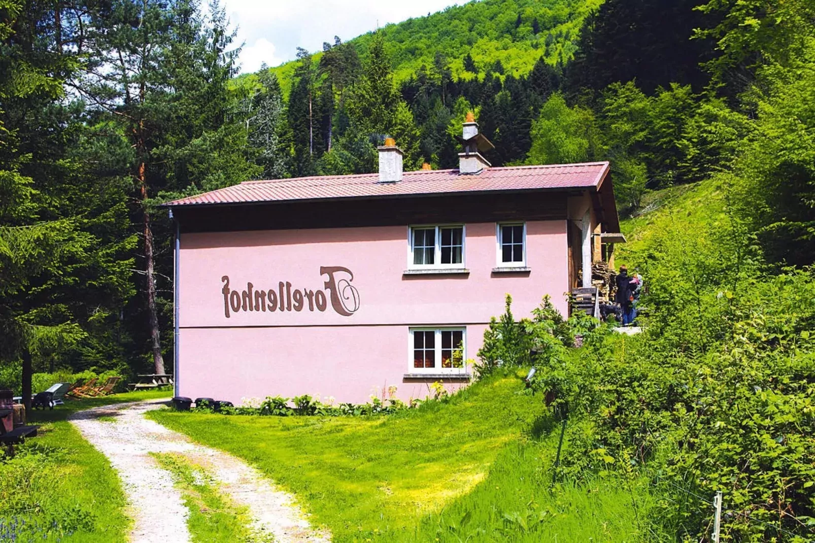 Holiday flats Forellenhof Dabo // Typ B 4 Erw  55 qm-Areas summer 1km