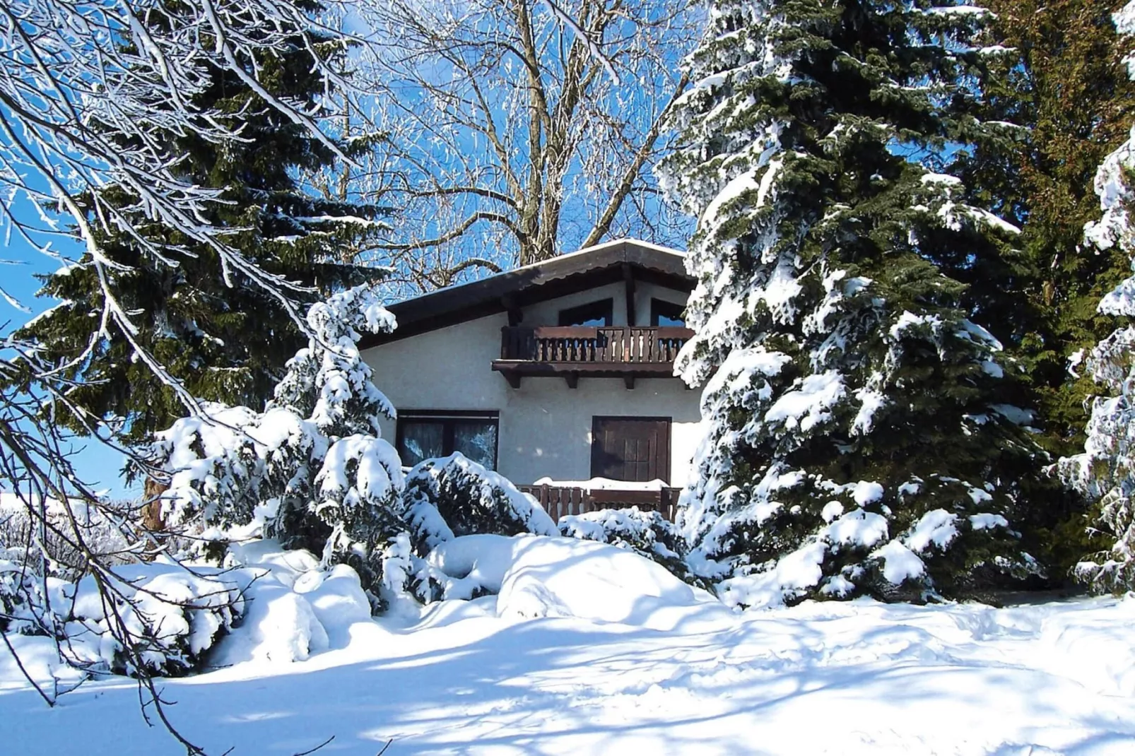 Ferienhaus Jagdshof-Exterior winter