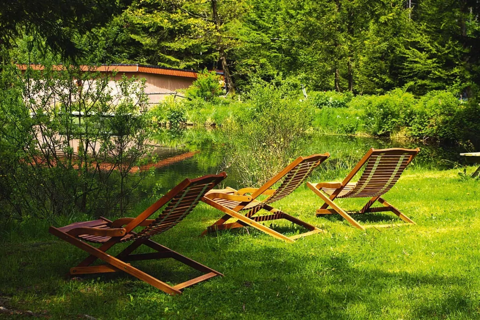 Holiday flats Forellenhof Dabo // Typ B 4 Erw  55 qm-Park facilities