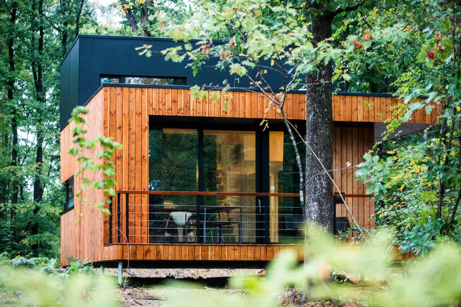 Forest Cube Tradition-Exterior summer