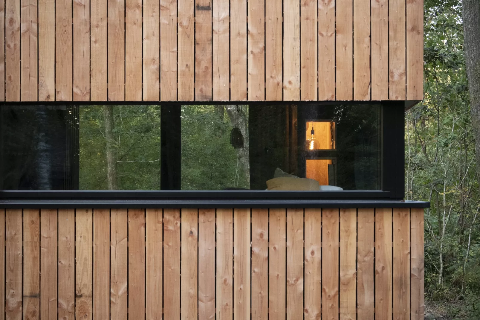 Forest Cube Tradition-Exterior summer