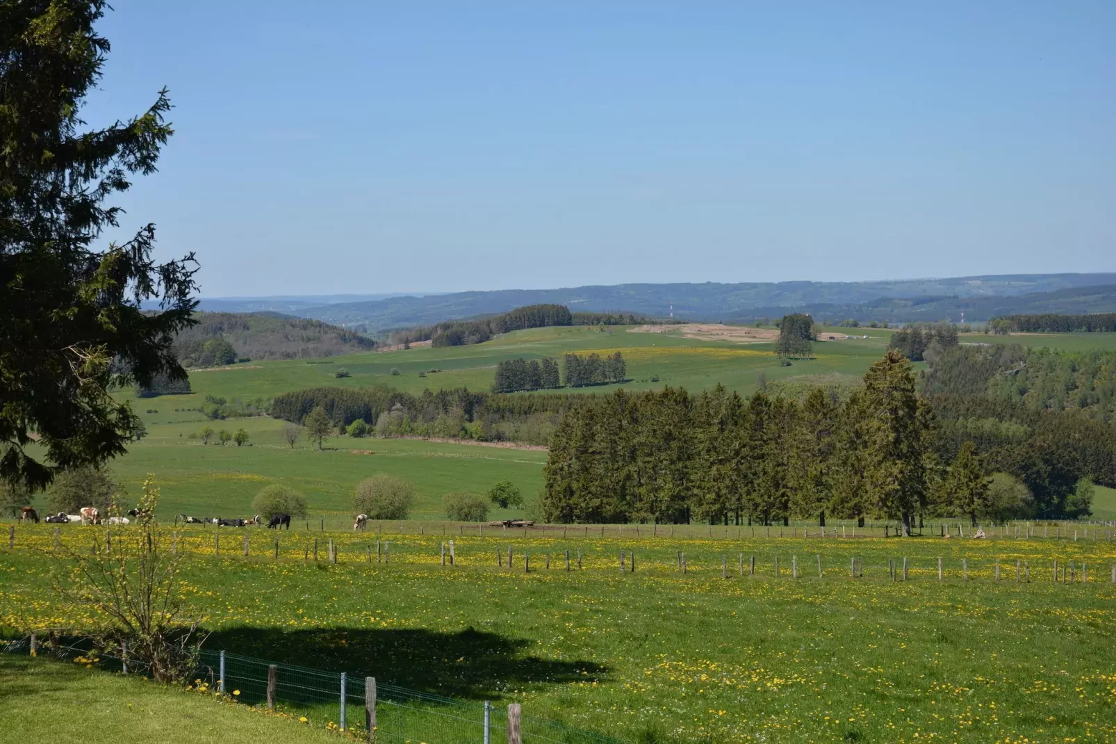Le Chalet du Coteau-View summer