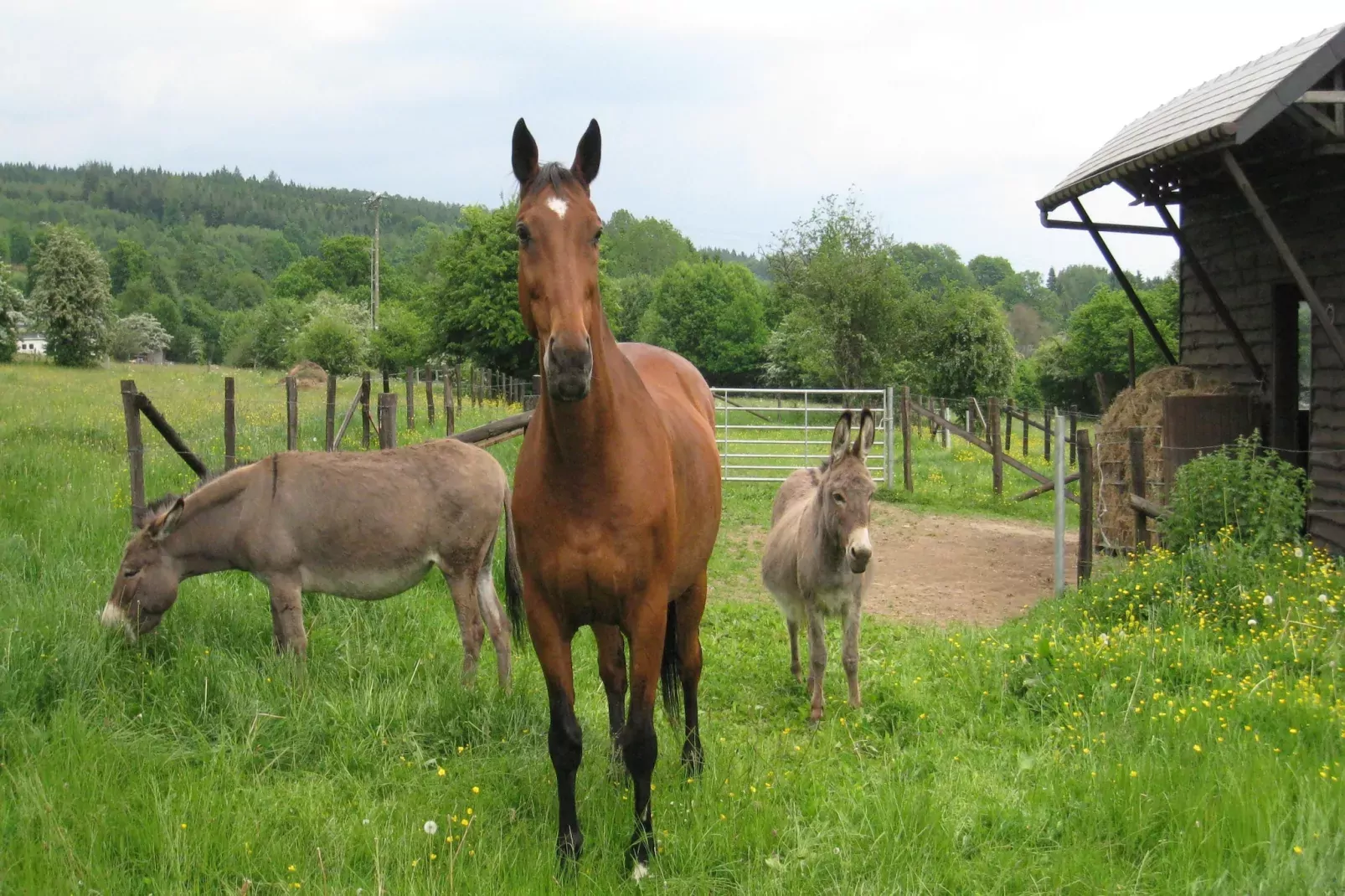Gite la Randonnee-Areas summer 1km