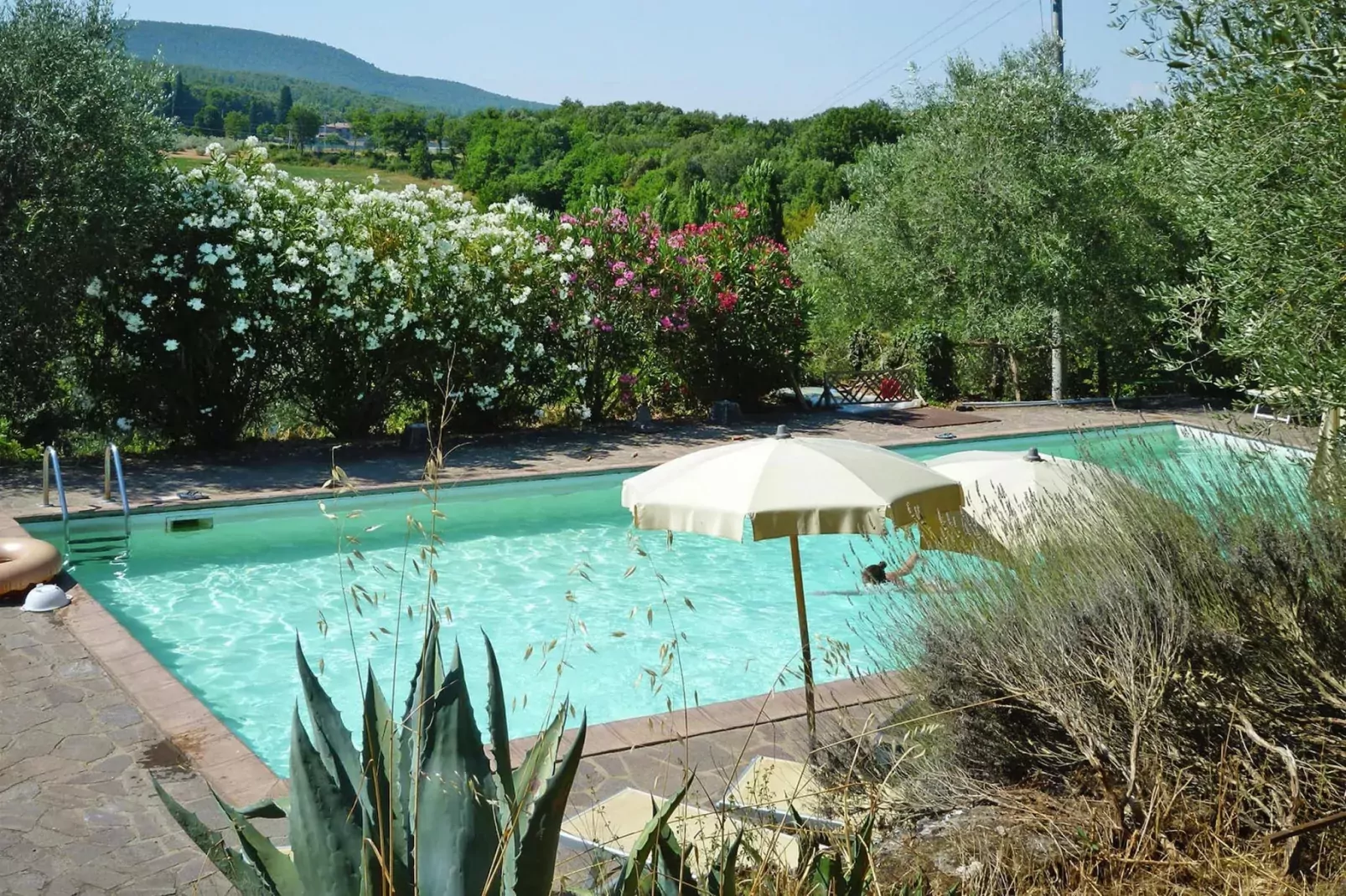 Residence Il Pero di Cetinale Sovicille Typ B 65 qm-Pool