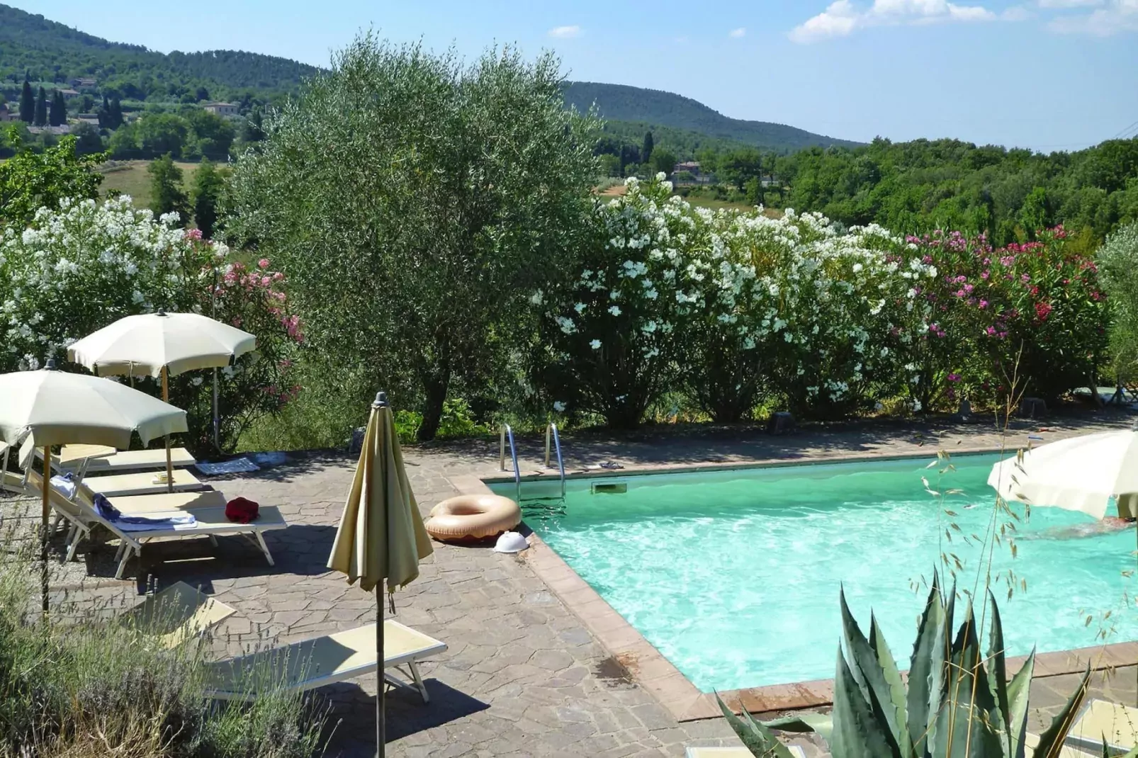Residence Il Pero di Cetinale Sovicille Typ B 65 qm-Pool