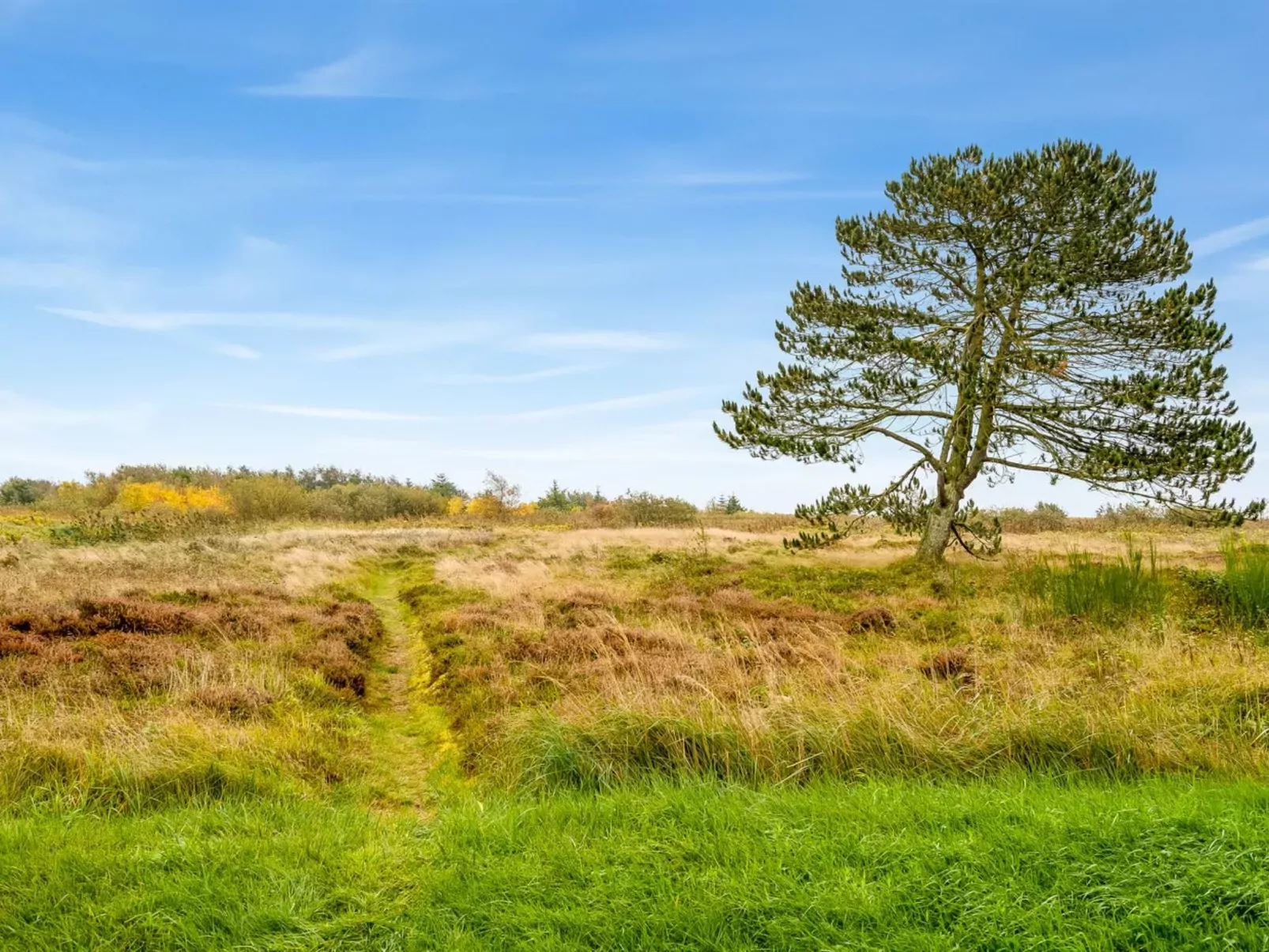 "Hejdie" - 150m from the sea-Outside