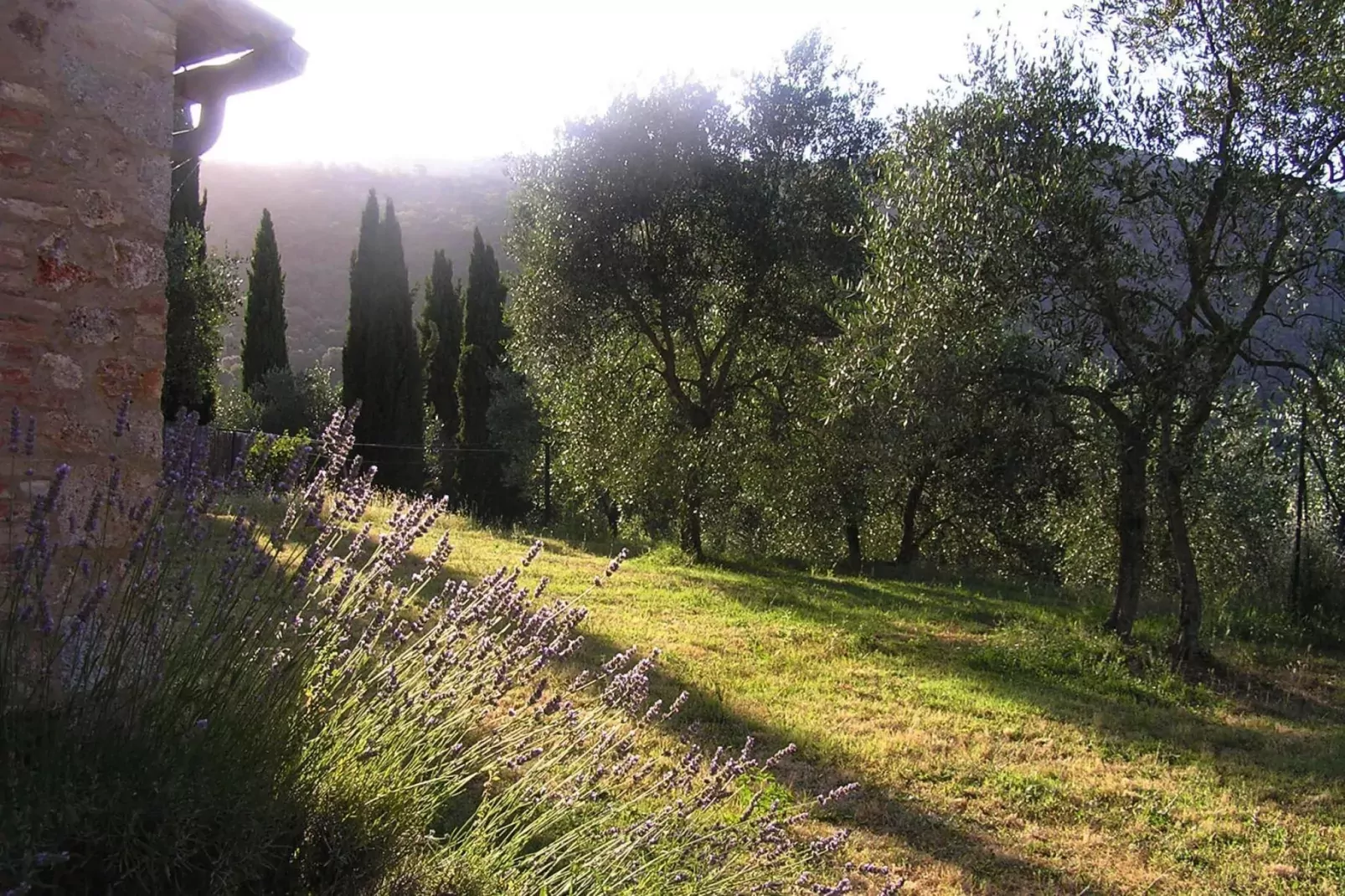 Residence Il Pero di Cetinale Sovicille Typ B 65 qm-Gardens summer