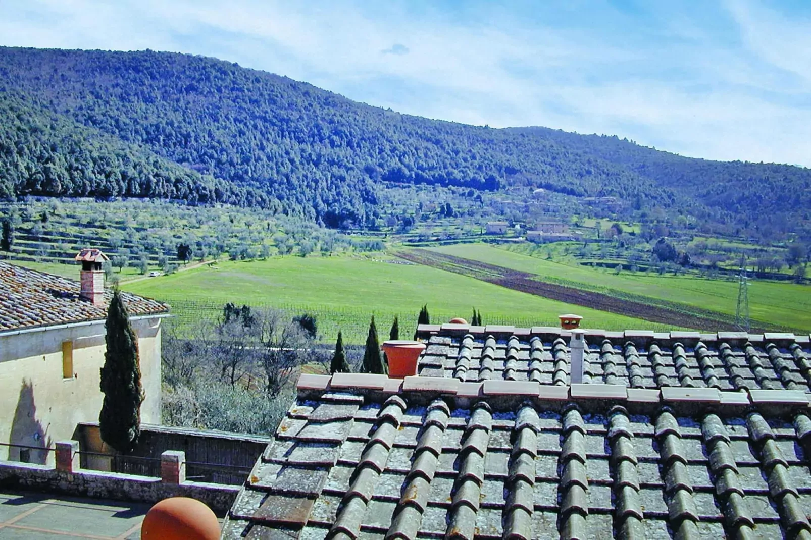 Residence Il Pero di Cetinale Sovicille Typ B 65 qm-View summer
