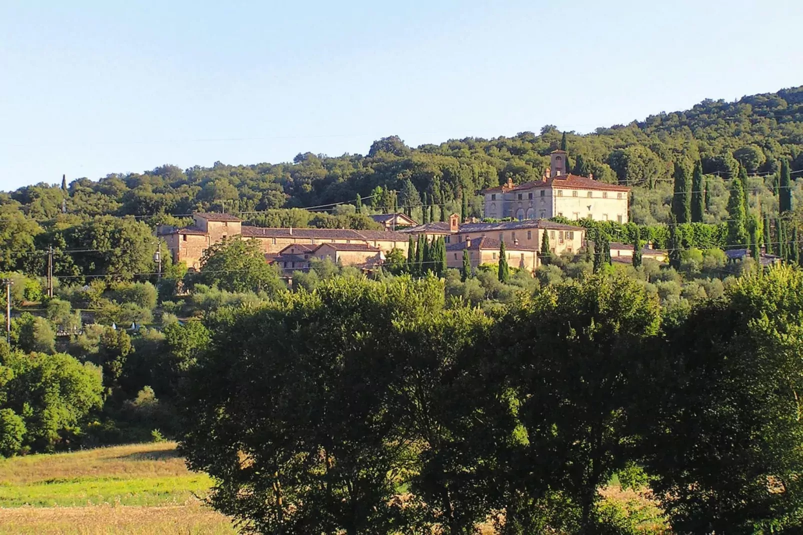 Residence Il Pero di Cetinale Sovicille Typ B 65 qm-View summer