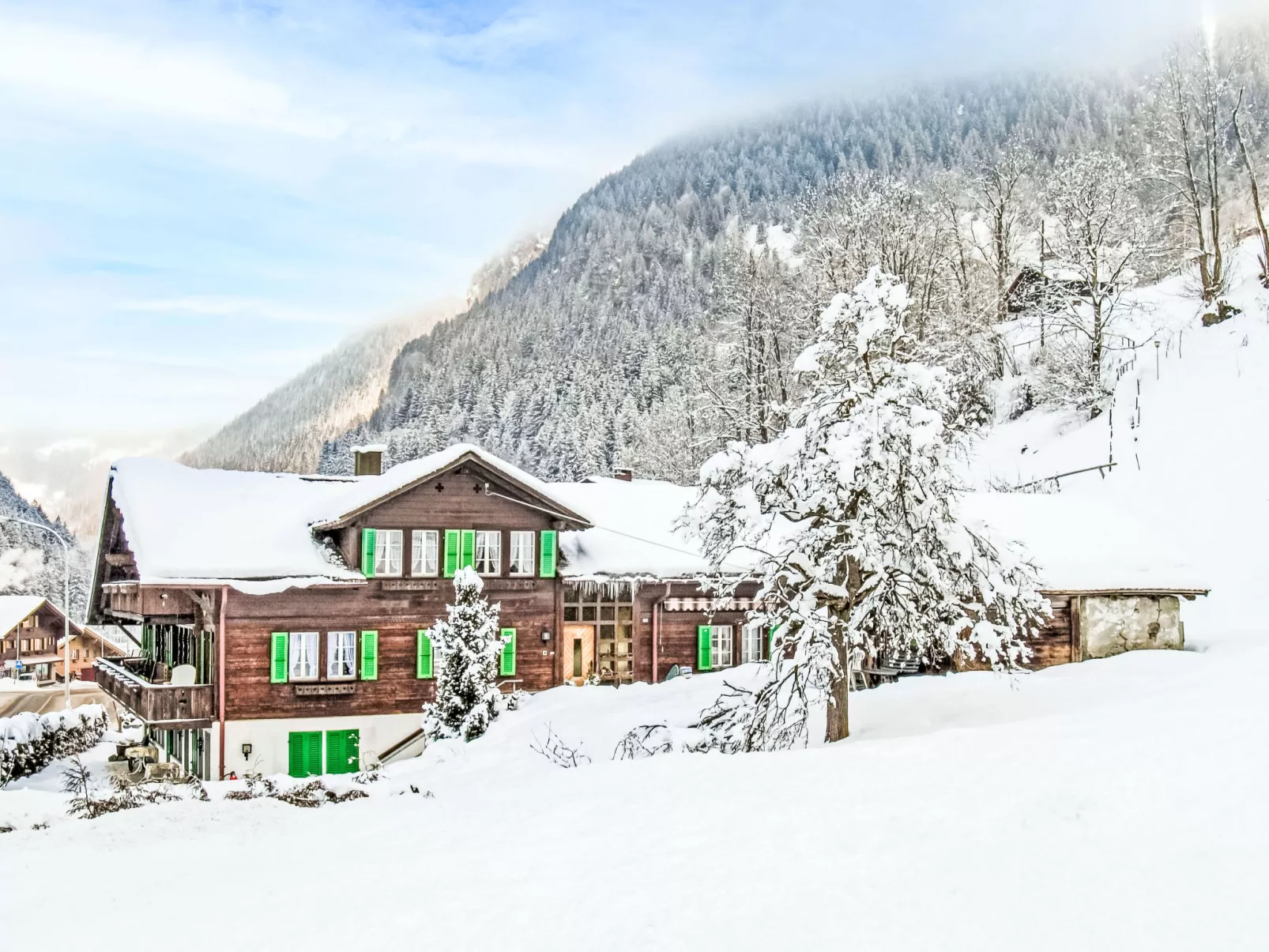 Chalet Schwendihus-Outside