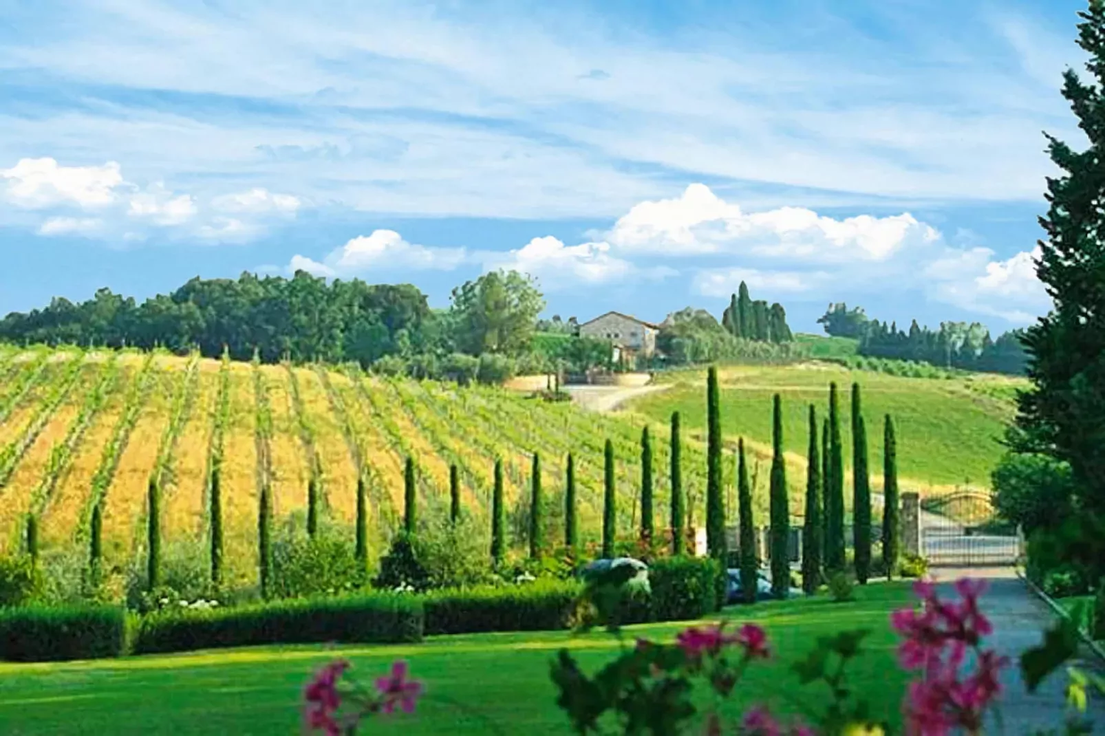 Ferienanlage Borgo della Meliana Gambassi Terme Typ Bilo-Areas summer 5km